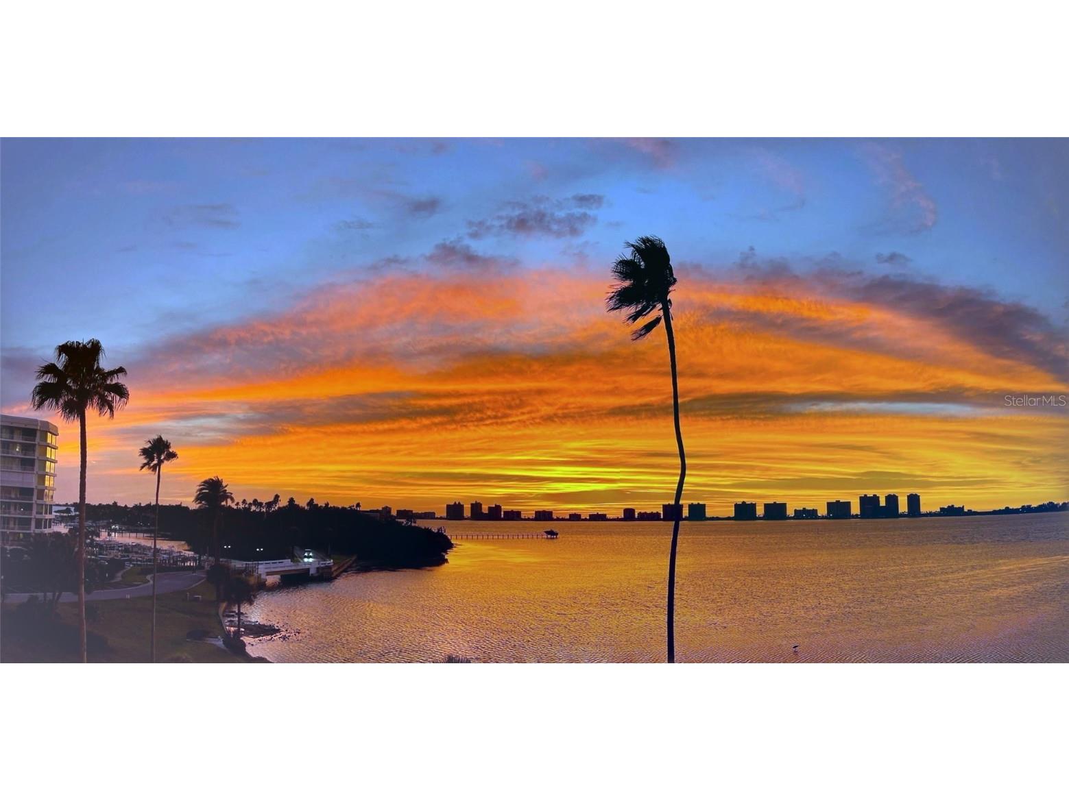 100 Oakmont Lane #509 Belleair FL 33756 U8136102 image1