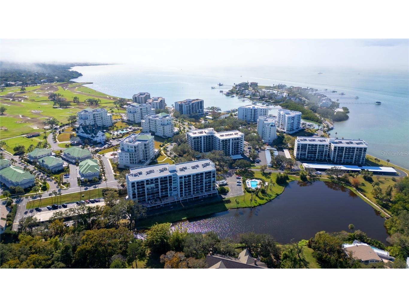 100 Oakmont Lane #605 Belleair FL 33756 TB8352097 image1