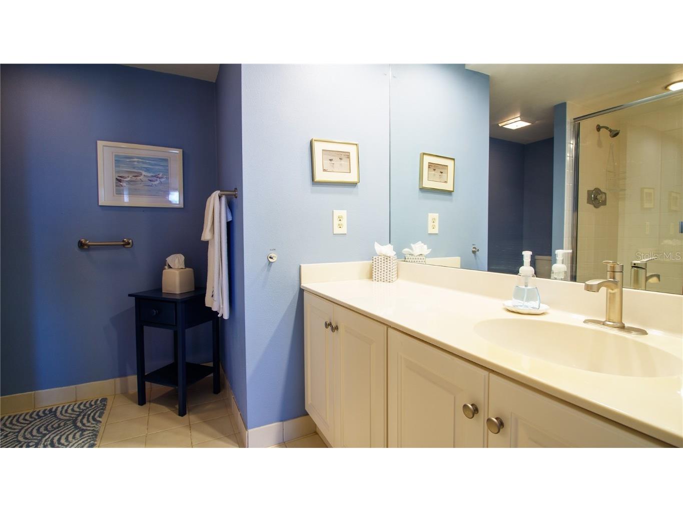 100 Oakmont Lane #605 Belleair FL 33756 TB8352097 image19