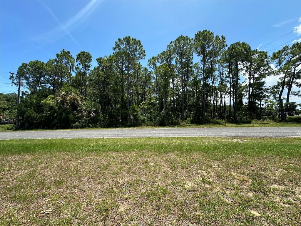 100 Palm Breeze Drive Edgewater FL 32141 NS1082118 image5