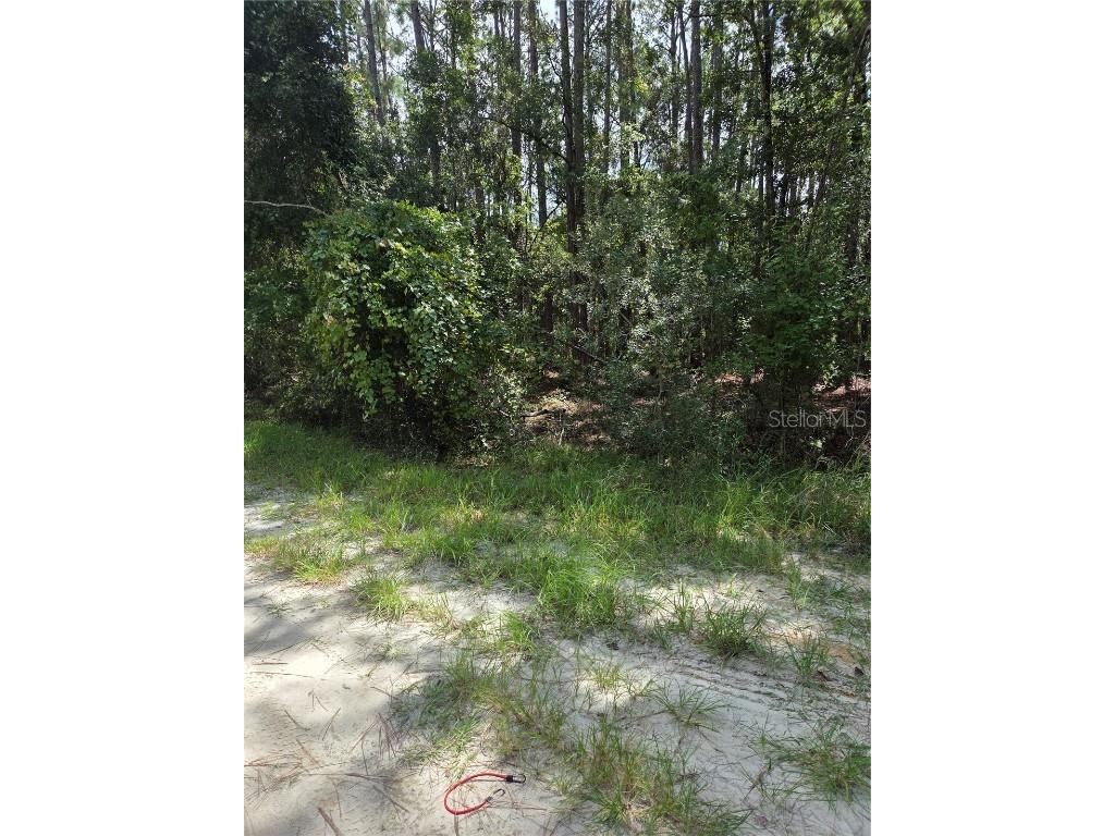 100 Palmetto Lane Georgetown FL 32139 V4944939 image1