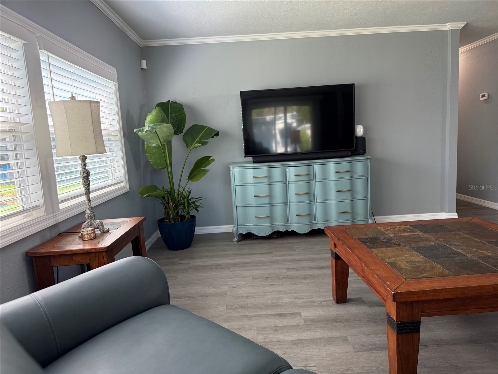 100 Papaya Cove Leesburg FL 34748 G5109931 image13