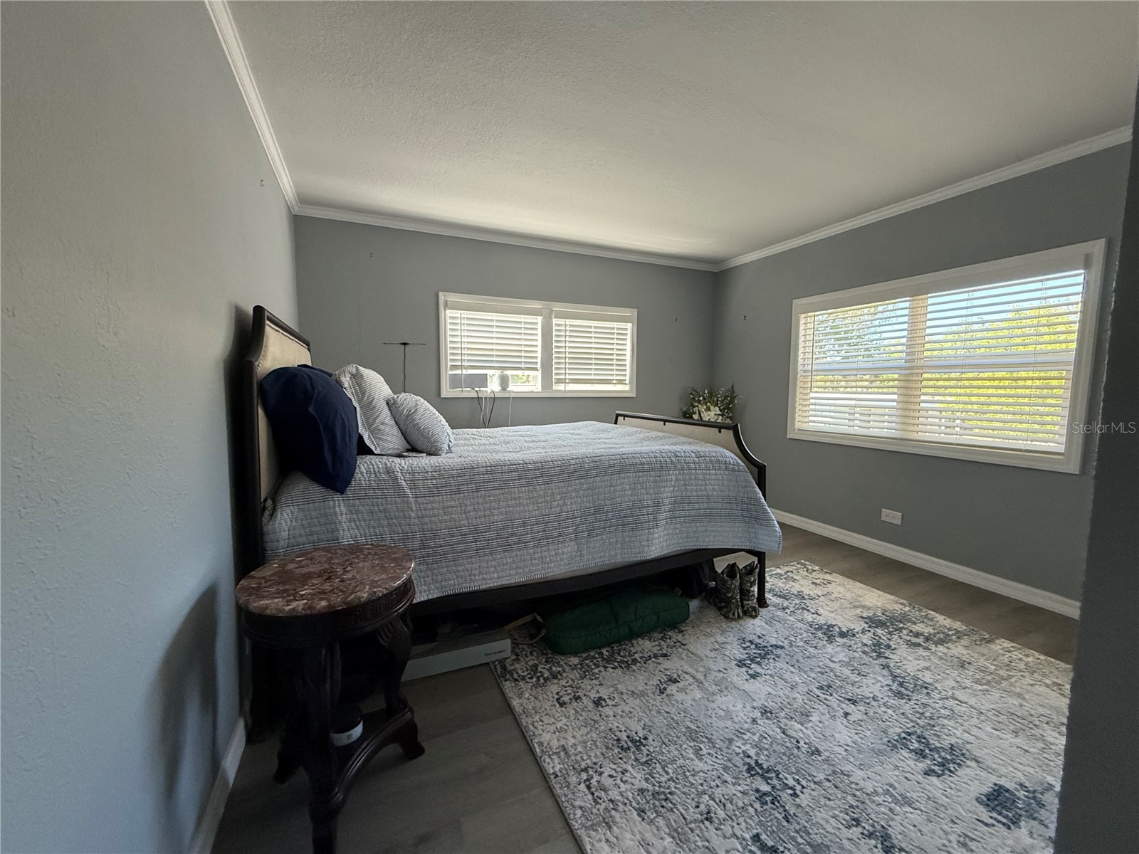 100 Papaya Cove Leesburg FL 34748 G5109931 image30