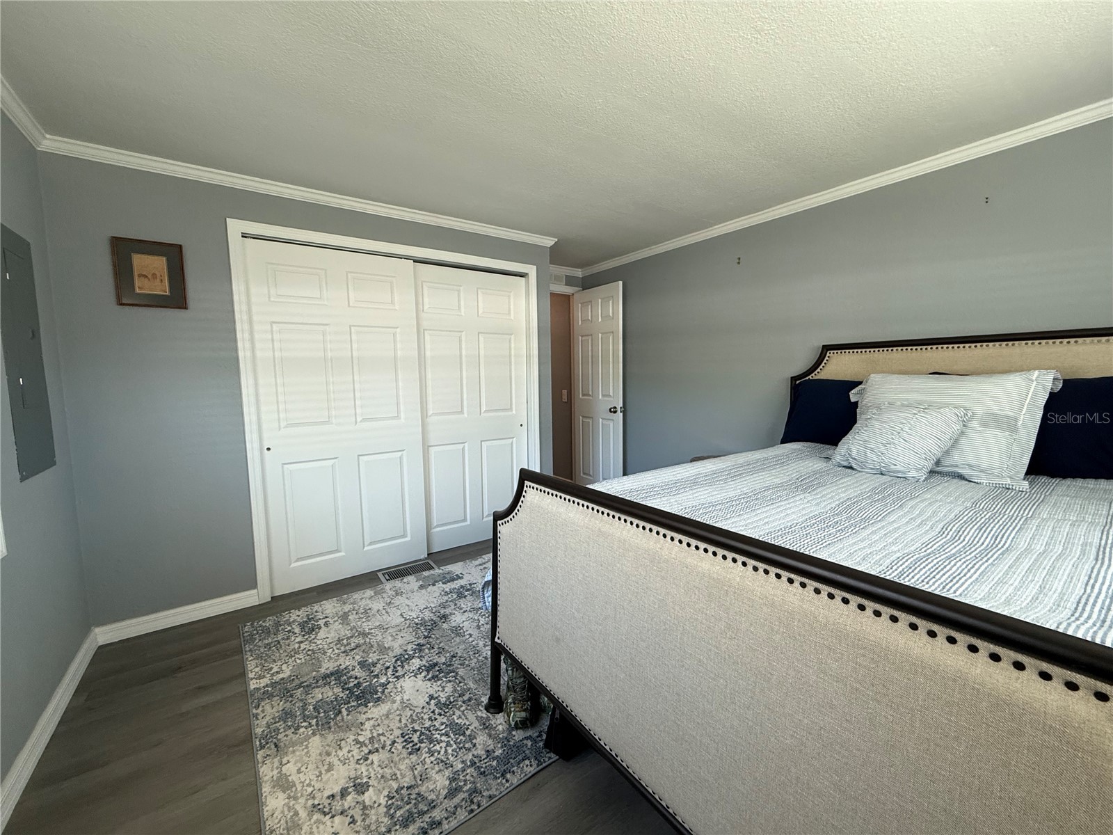 100 Papaya Cove Leesburg FL 34748 G5109931 image32