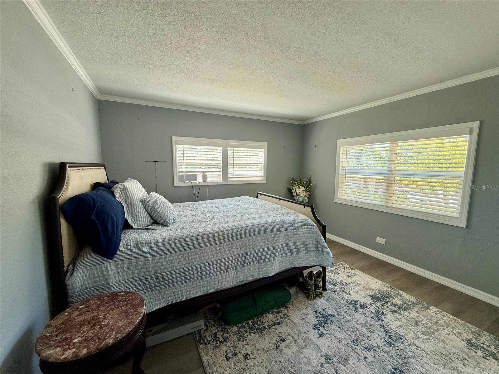 100 Papaya Cove Leesburg FL 34748 G5109931 image33
