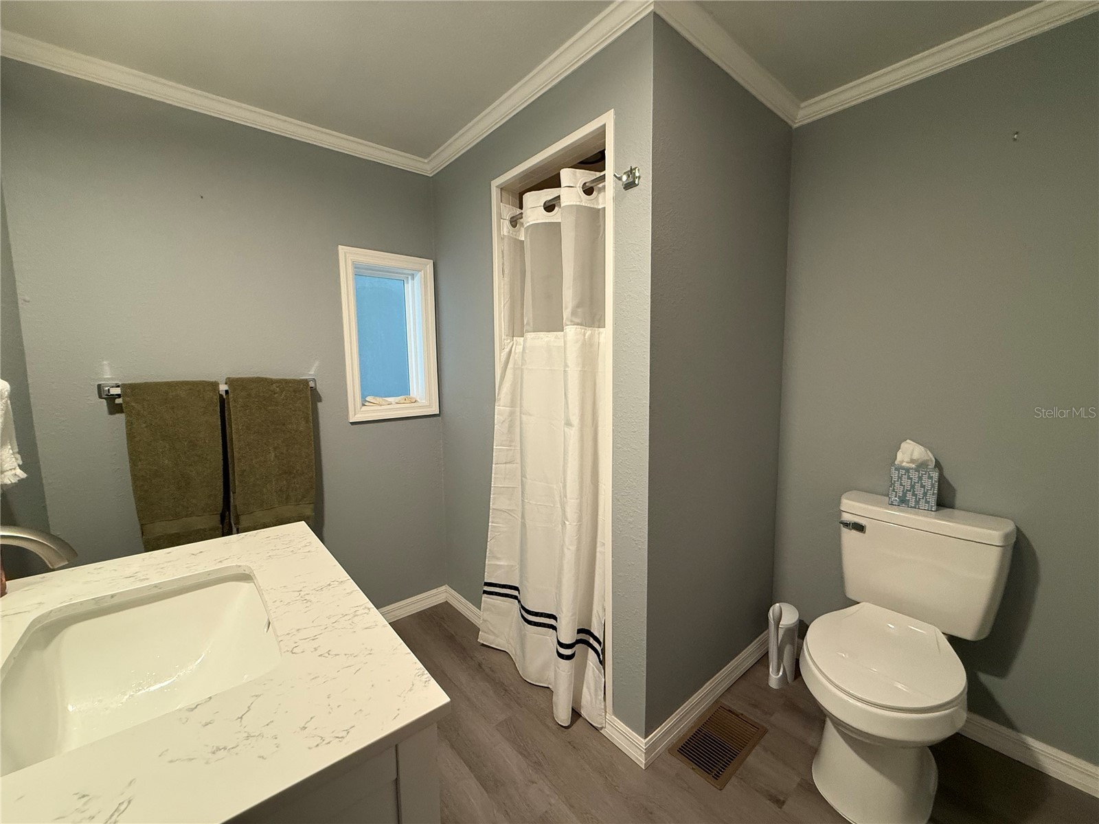 100 Papaya Cove Leesburg FL 34748 G5109931 image36