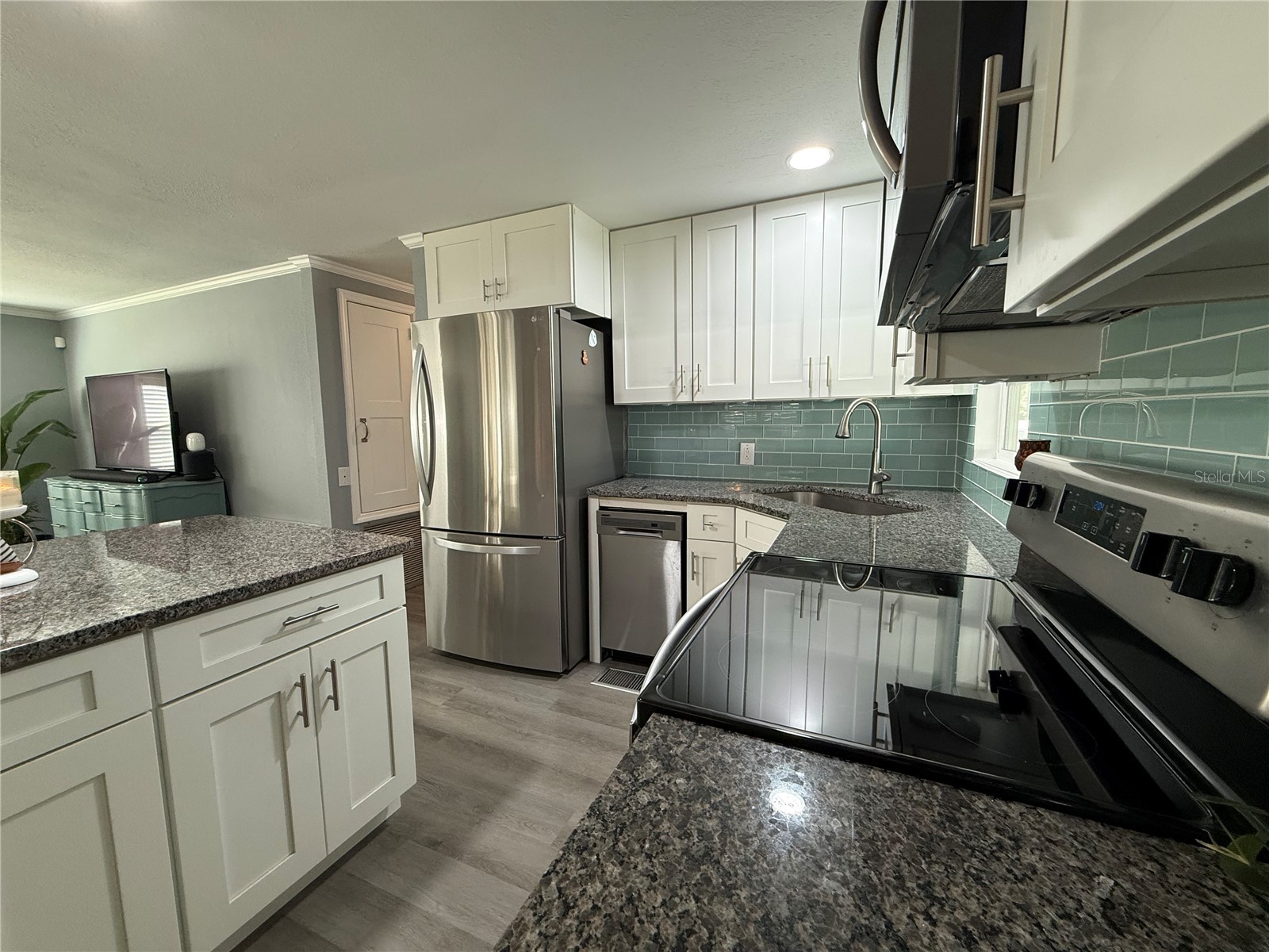 100 Papaya Cove Leesburg FL 34748 G5109931 image8