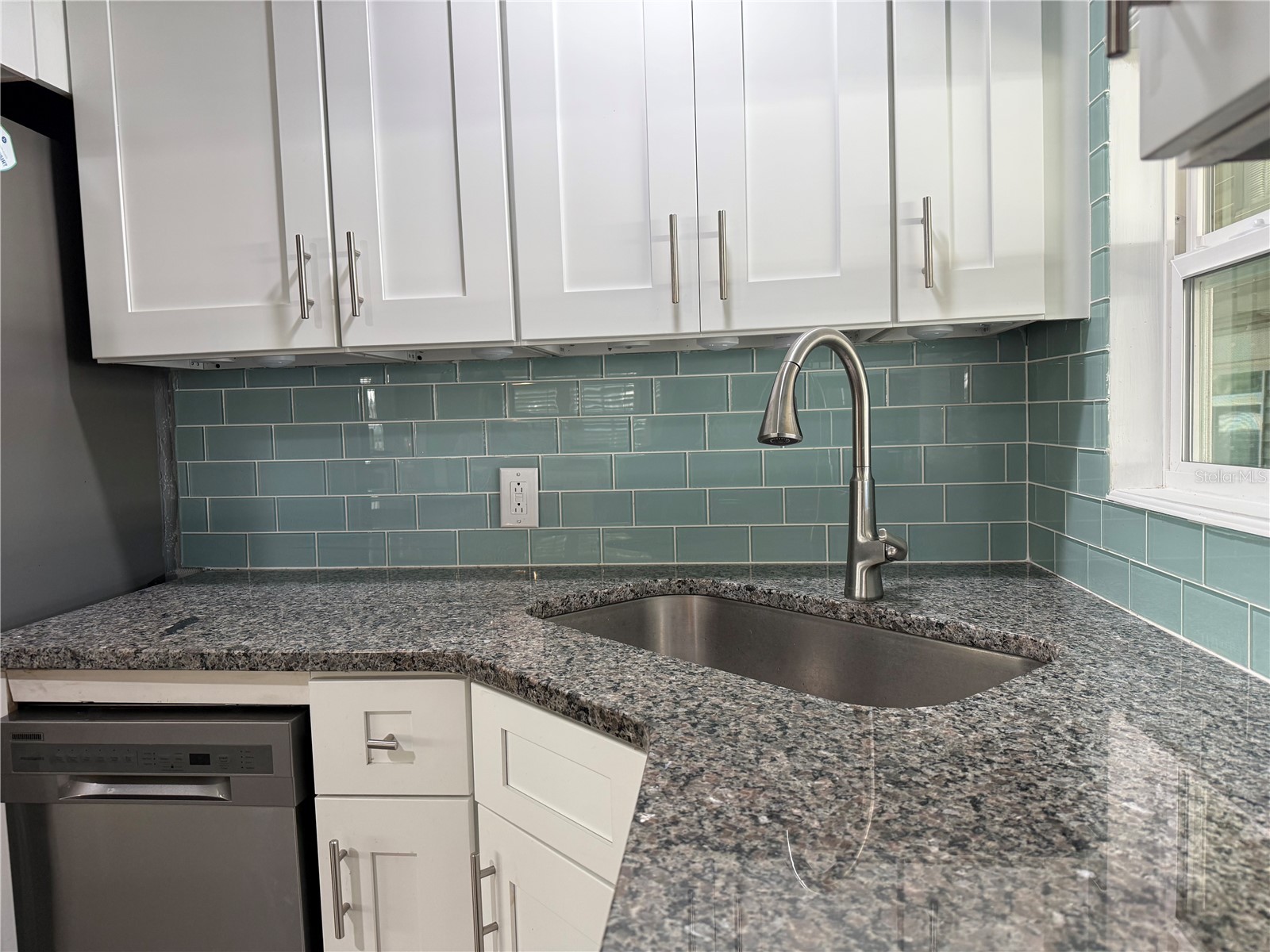 100 Papaya Cove Leesburg FL 34748 G5109931 image9