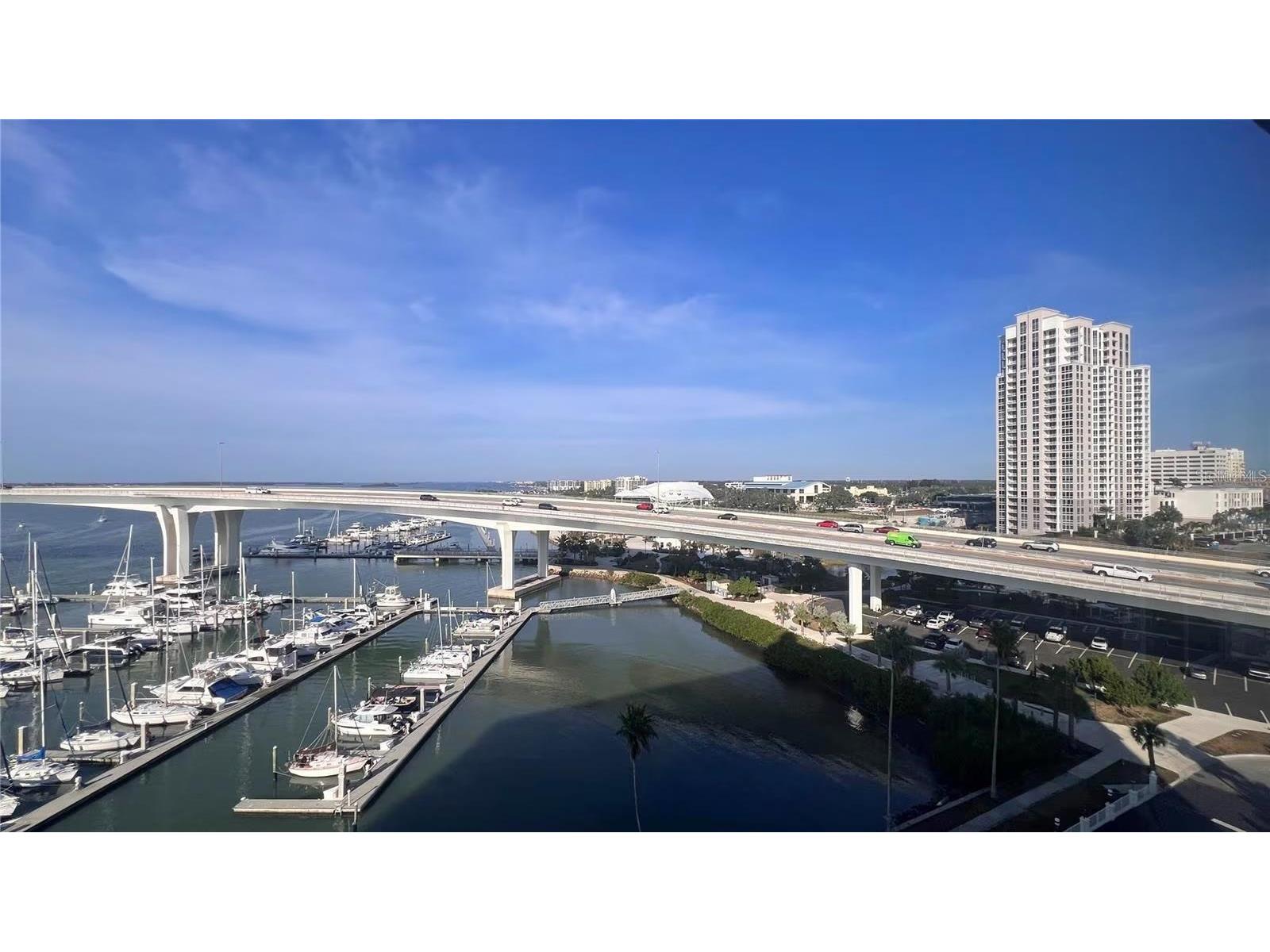 100 Pierce Street #1001 Clearwater FL 33756 TB8502612 image29