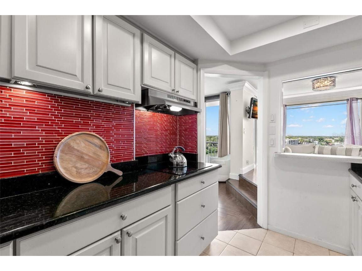 100 Pierce Street #1007 Clearwater FL 33756 TB8446643 image11