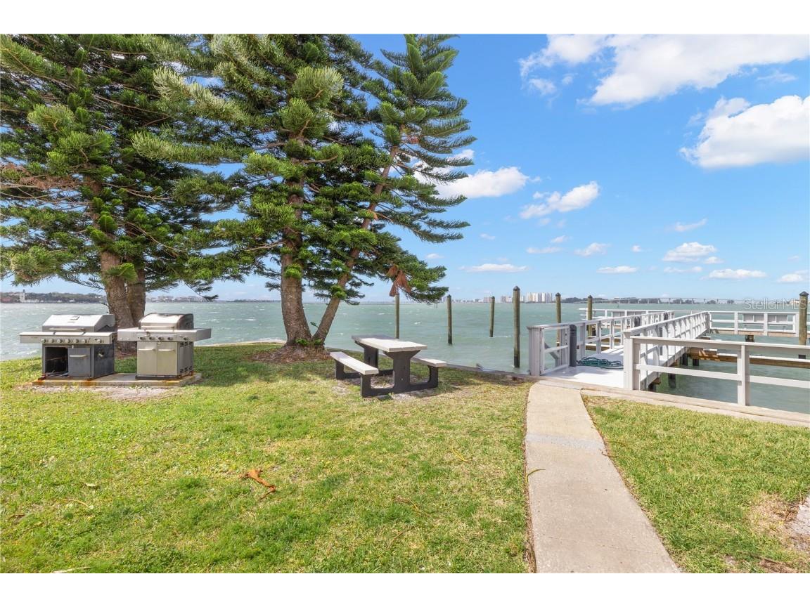 100 Pierce Street #1007 Clearwater FL 33756 TB8446643 image33