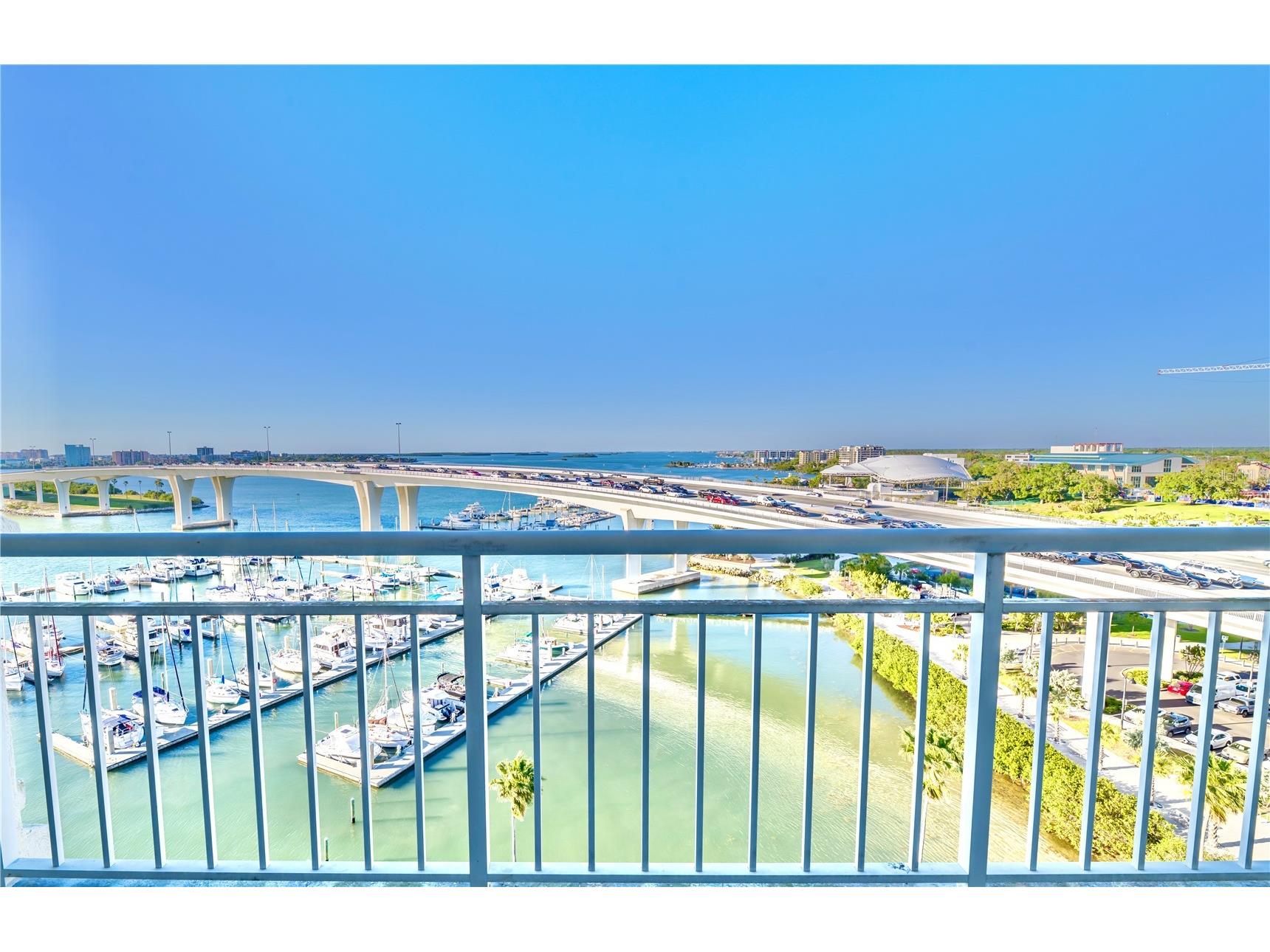 100 Pierce Street #1102 Clearwater FL 33756 TB8353867 image10