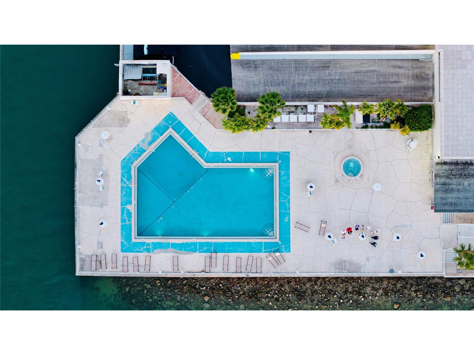 100 Pierce Street #1102 Clearwater FL 33756 TB8353867 image18