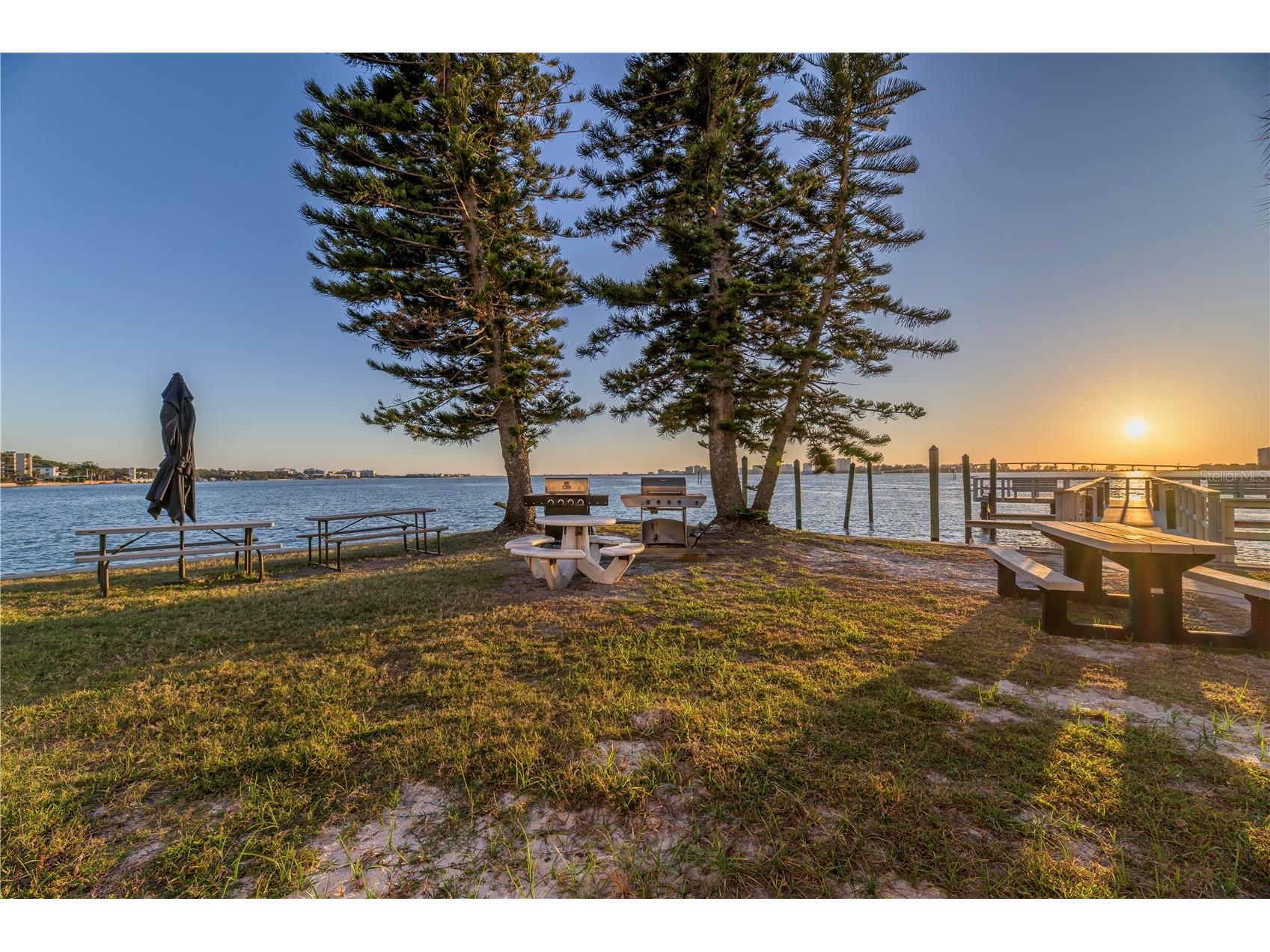 100 Pierce Street #1102 Clearwater FL 33756 TB8353867 image21