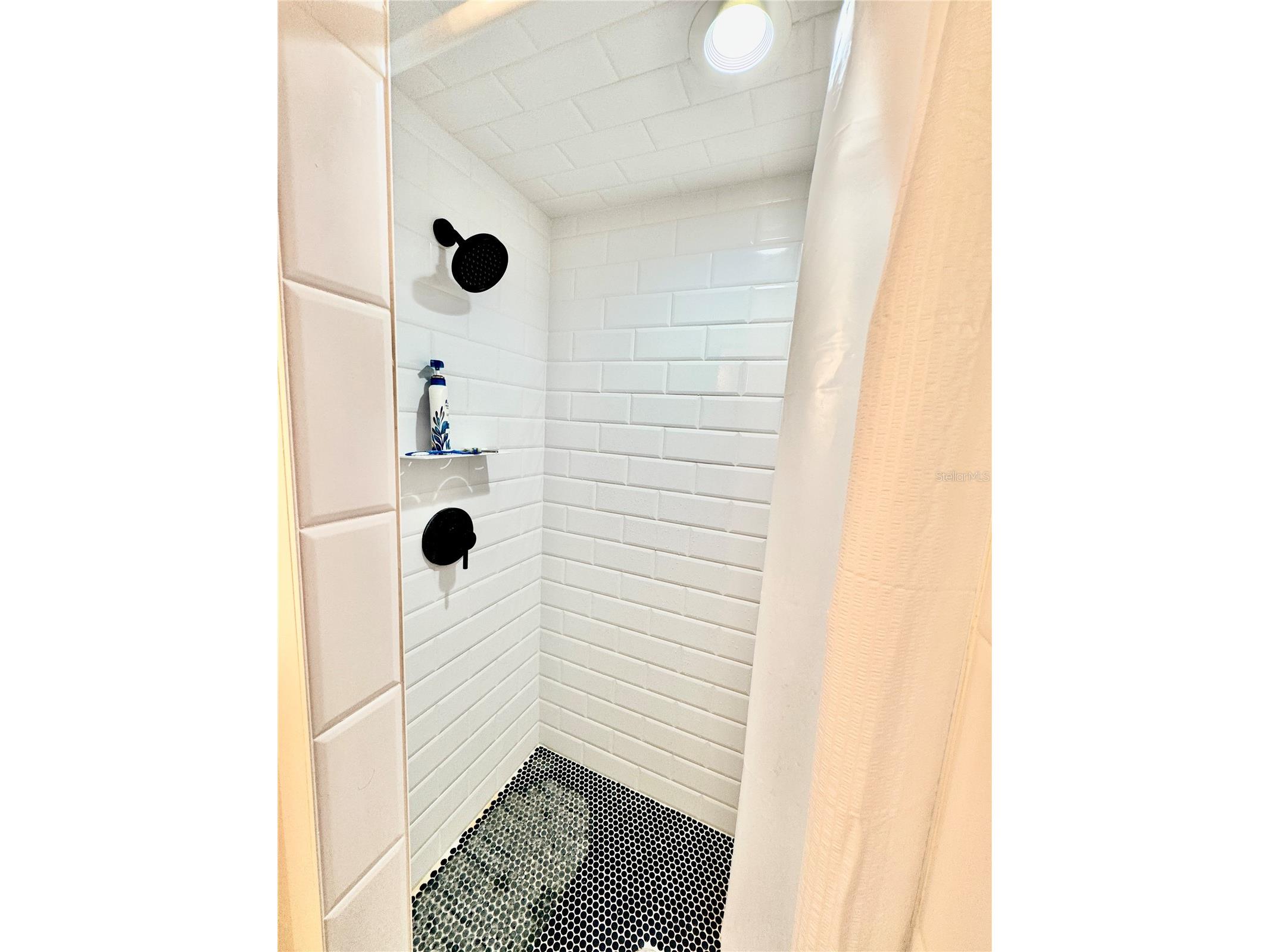 100 Pierce Street #1102 Clearwater FL 33756 TB8491985 image17