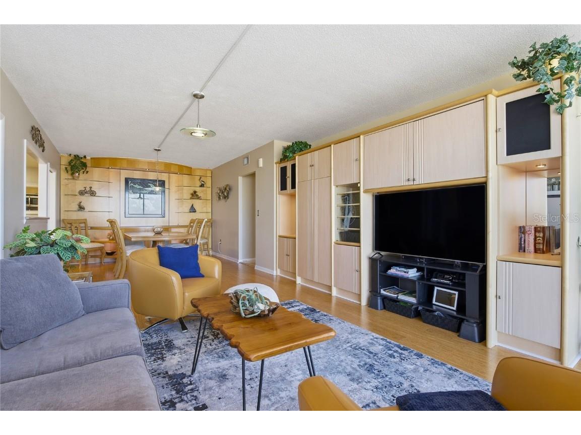 100 Pierce Street #1202 Clearwater FL 33756 TB8447730 image25