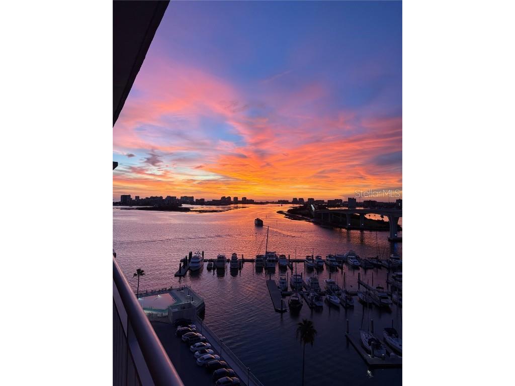 100 Pierce Street #1202 Clearwater FL 33756 TB8447730 image68