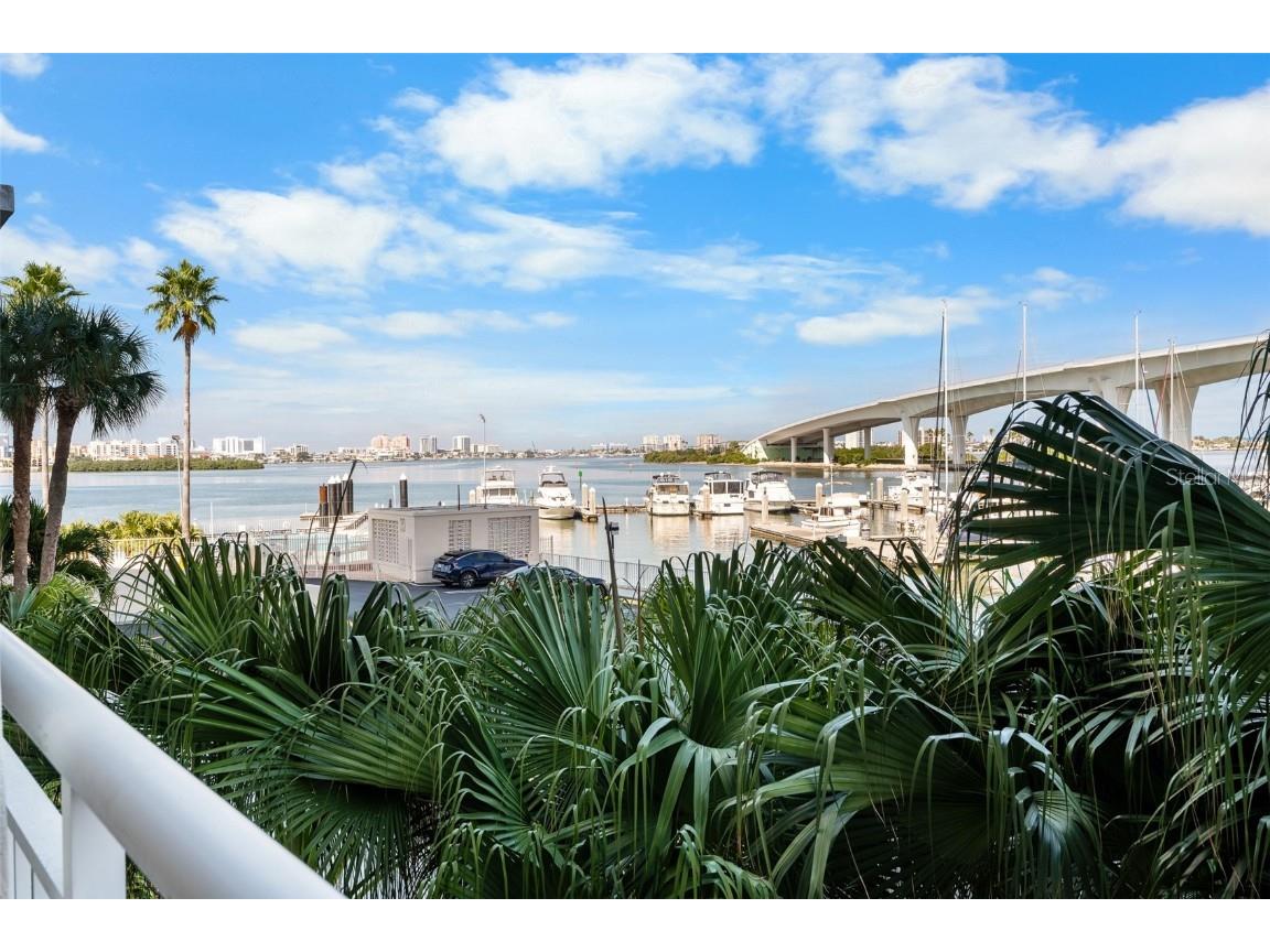100 Pierce Street #210 Clearwater FL 33756 TB8442481 image25