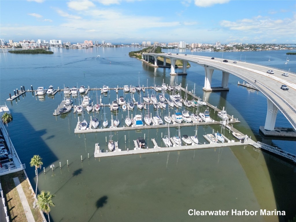 100 Pierce Street #210 Clearwater FL 33756 TB8442481 image36