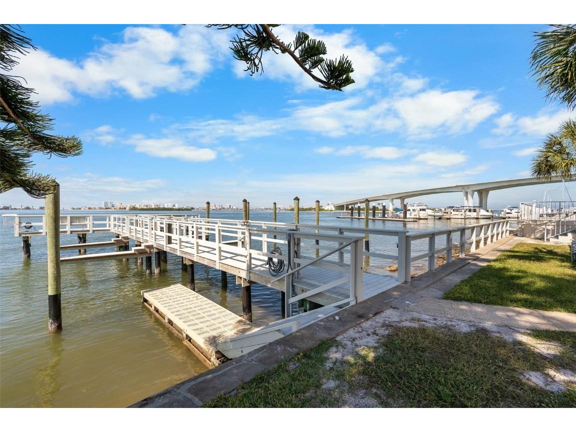 100 Pierce Street #210 Clearwater FL 33756 TB8442481 image37