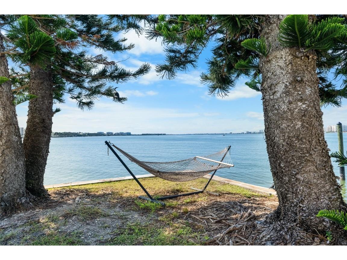 100 Pierce Street #210 Clearwater FL 33756 TB8442481 image42