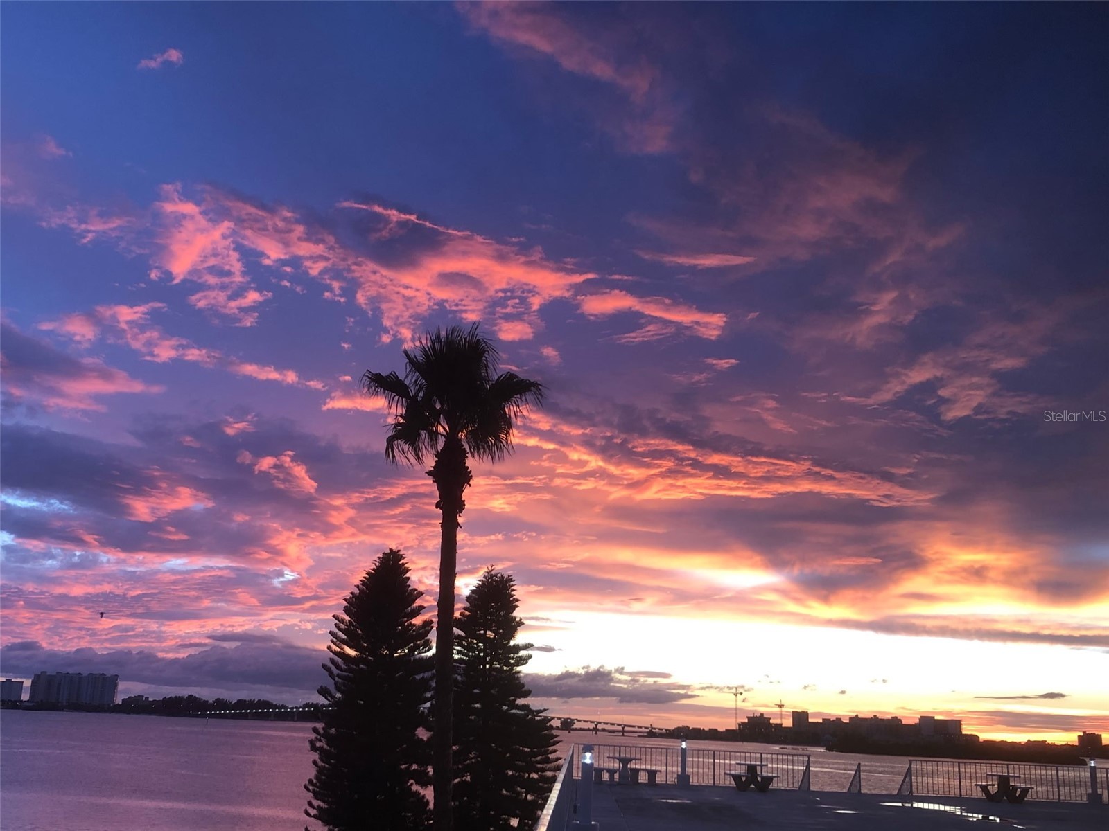 100 Pierce Street #305 Clearwater FL 33756 TB8465485 image3