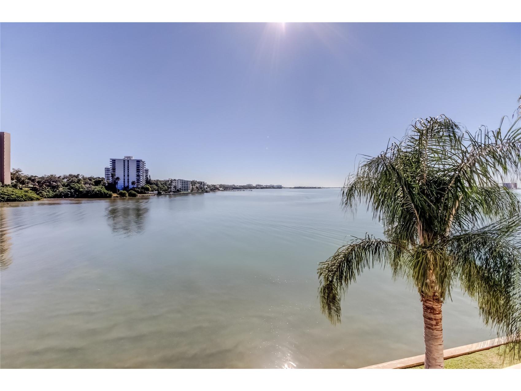 100 Pierce Street #305 Clearwater FL 33756 TB8465485 image30