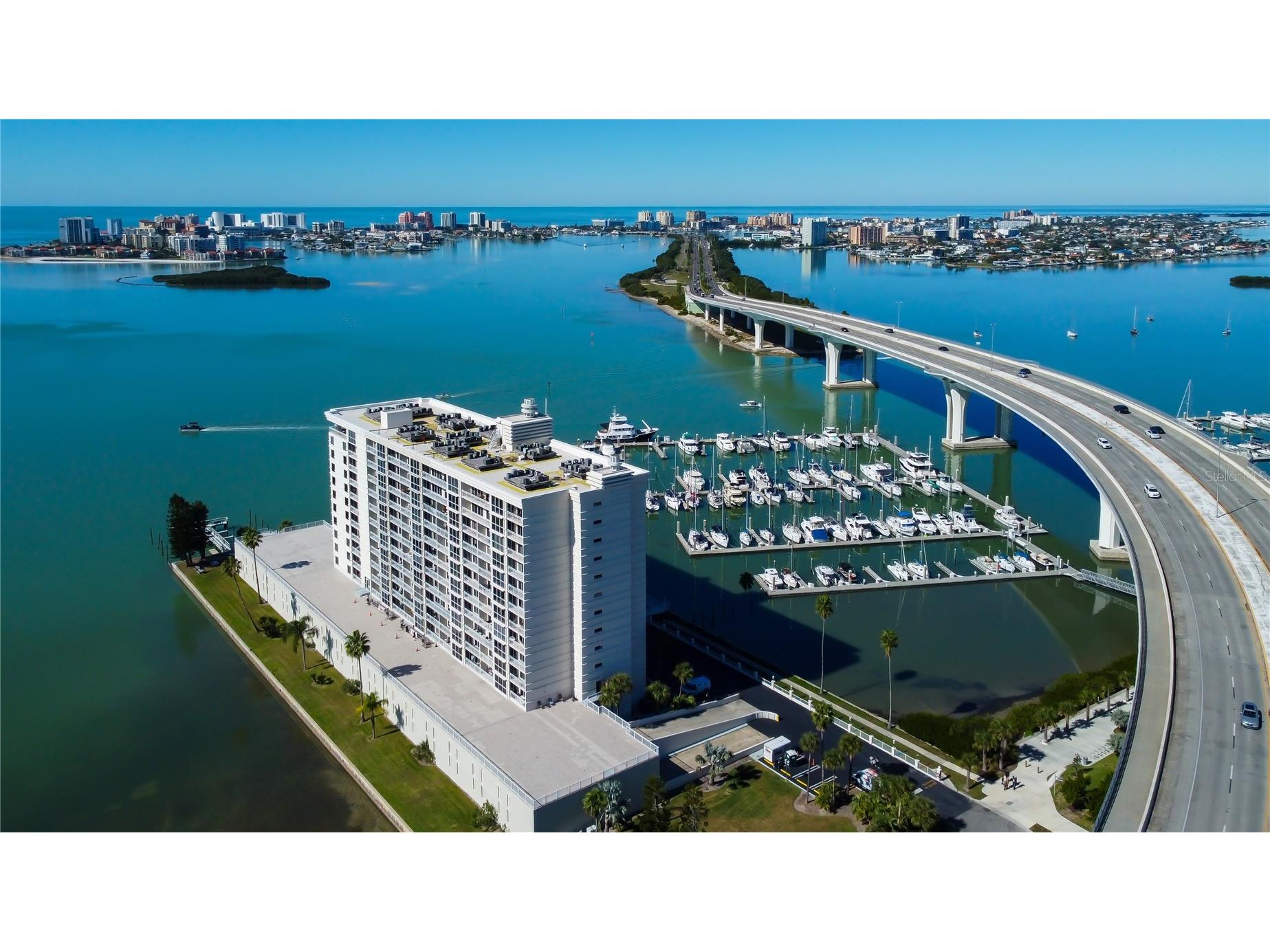 100 Pierce Street #305 Clearwater FL 33756 TB8465485 image35