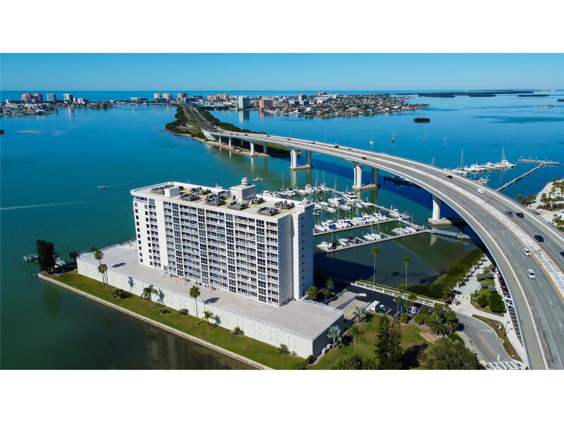 100 Pierce Street #305 Clearwater FL 33756 TB8465485 image36