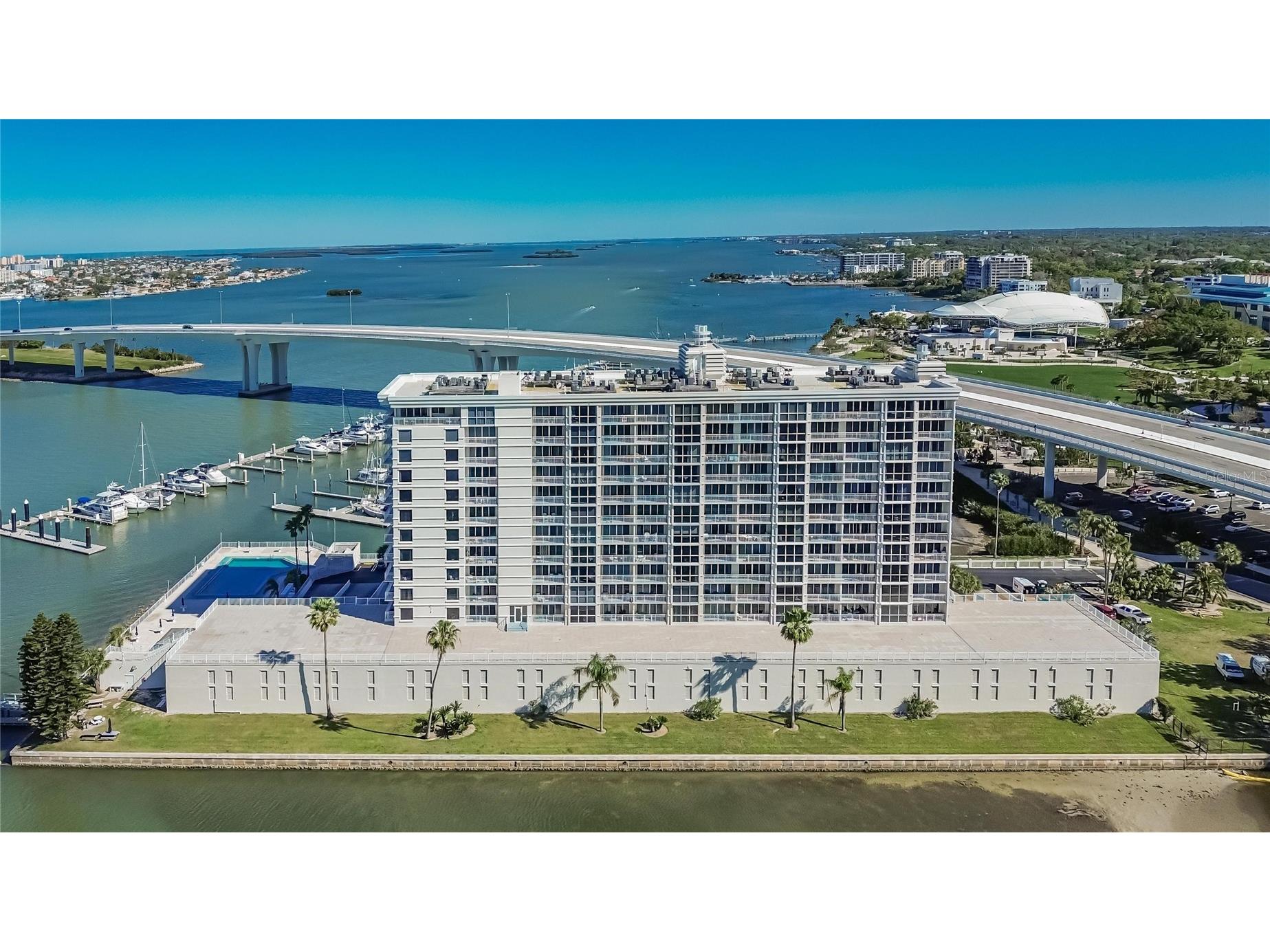 100 Pierce Street #703 Clearwater FL 33756 TB8484494 image1