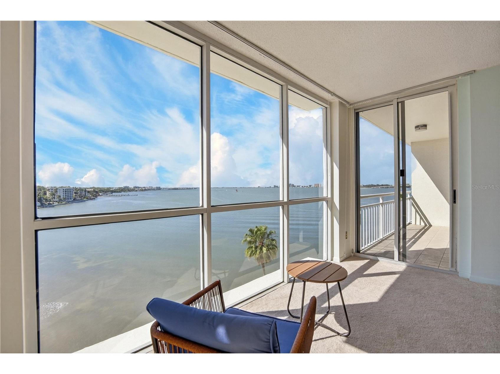 100 Pierce Street #703 Clearwater FL 33756 TB8484494 image19