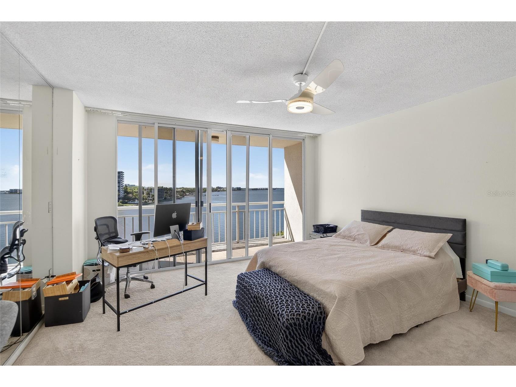 100 Pierce Street #703 Clearwater FL 33756 TB8484494 image28