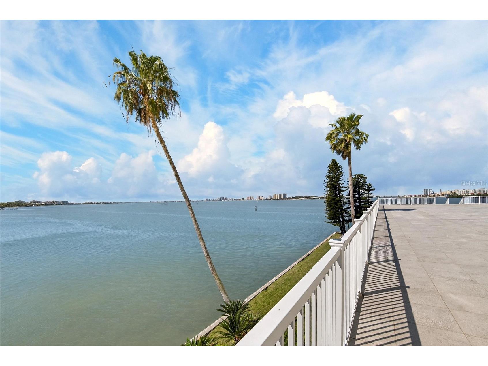 100 Pierce Street #703 Clearwater FL 33756 TB8484494 image39
