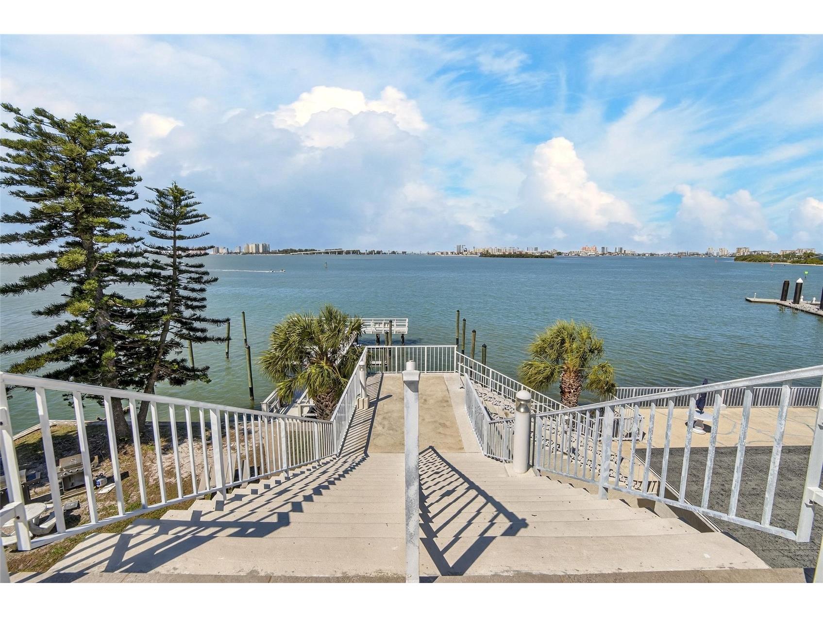100 Pierce Street #703 Clearwater FL 33756 TB8484494 image41
