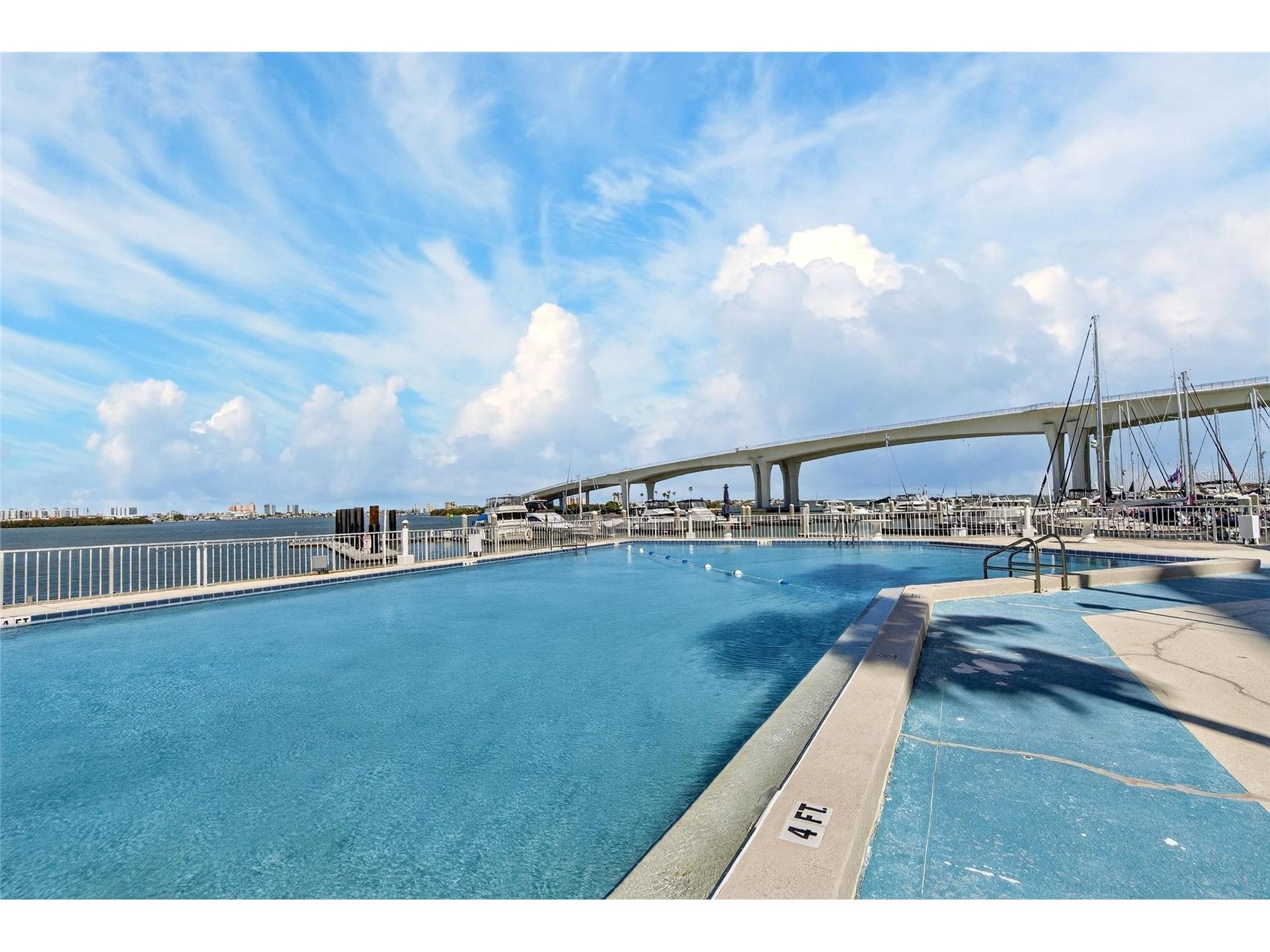 100 Pierce Street #703 Clearwater FL 33756 TB8484494 image45