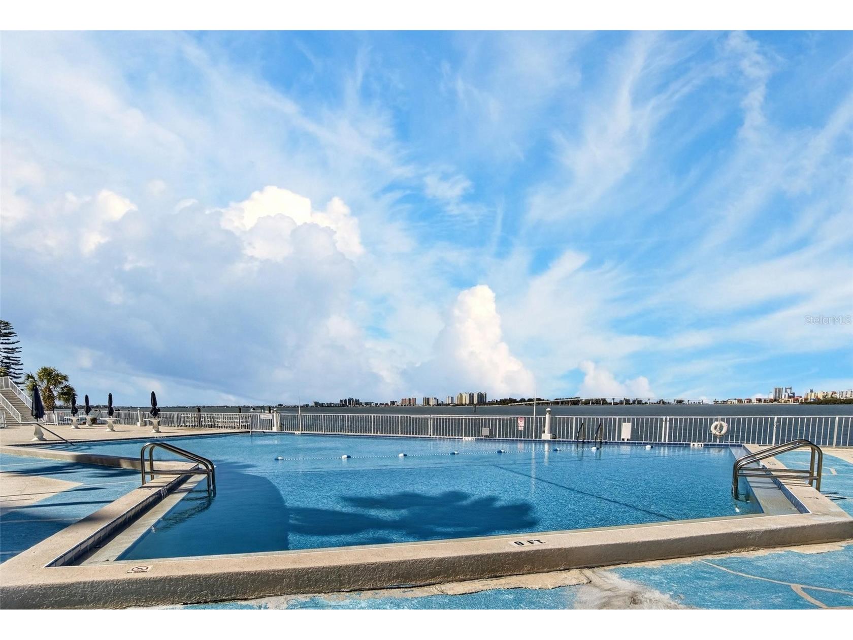 100 Pierce Street #703 Clearwater FL 33756 TB8484494 image46