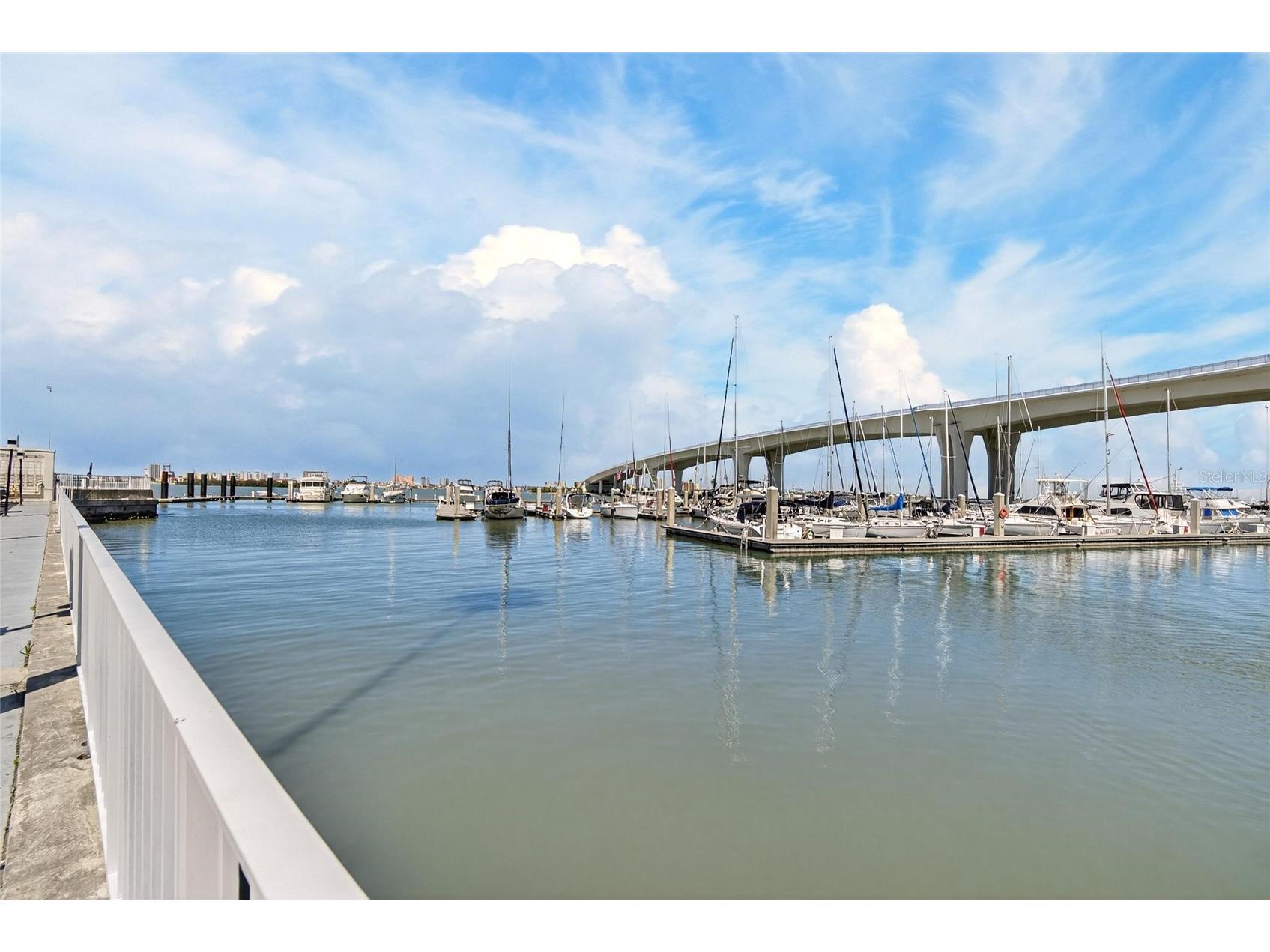 100 Pierce Street #703 Clearwater FL 33756 TB8484494 image55