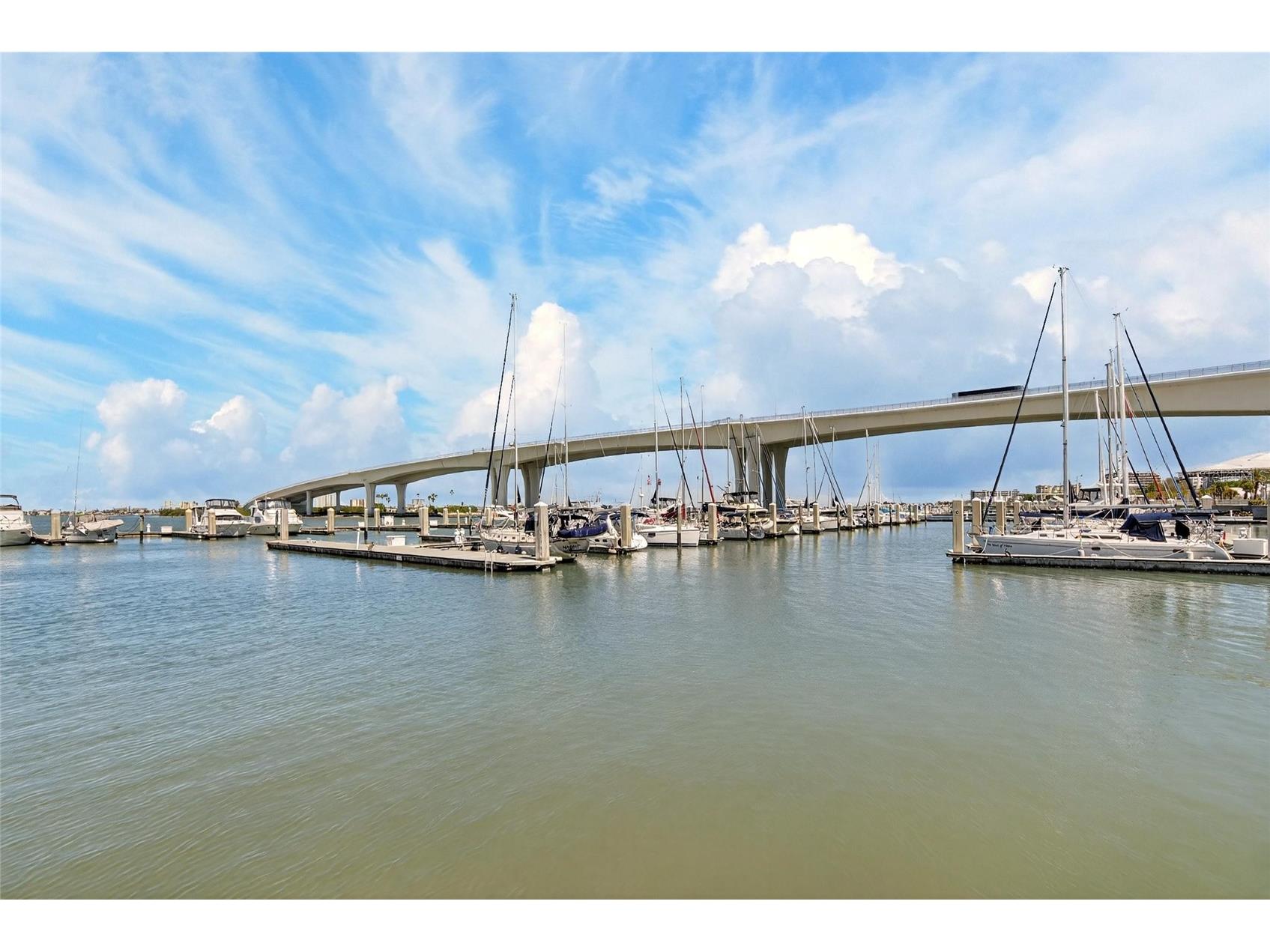 100 Pierce Street #703 Clearwater FL 33756 TB8484494 image56