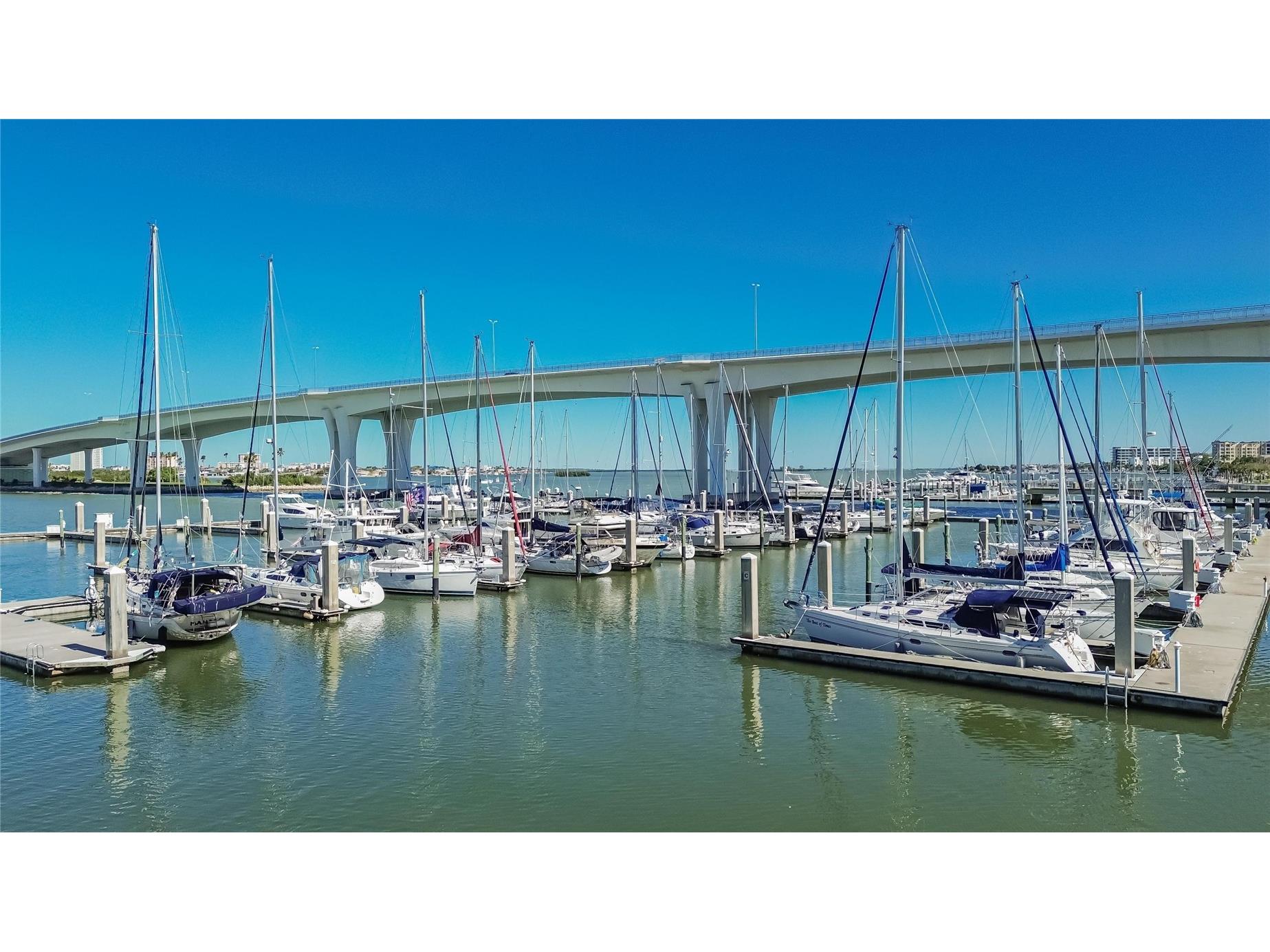 100 Pierce Street #703 Clearwater FL 33756 TB8484494 image57