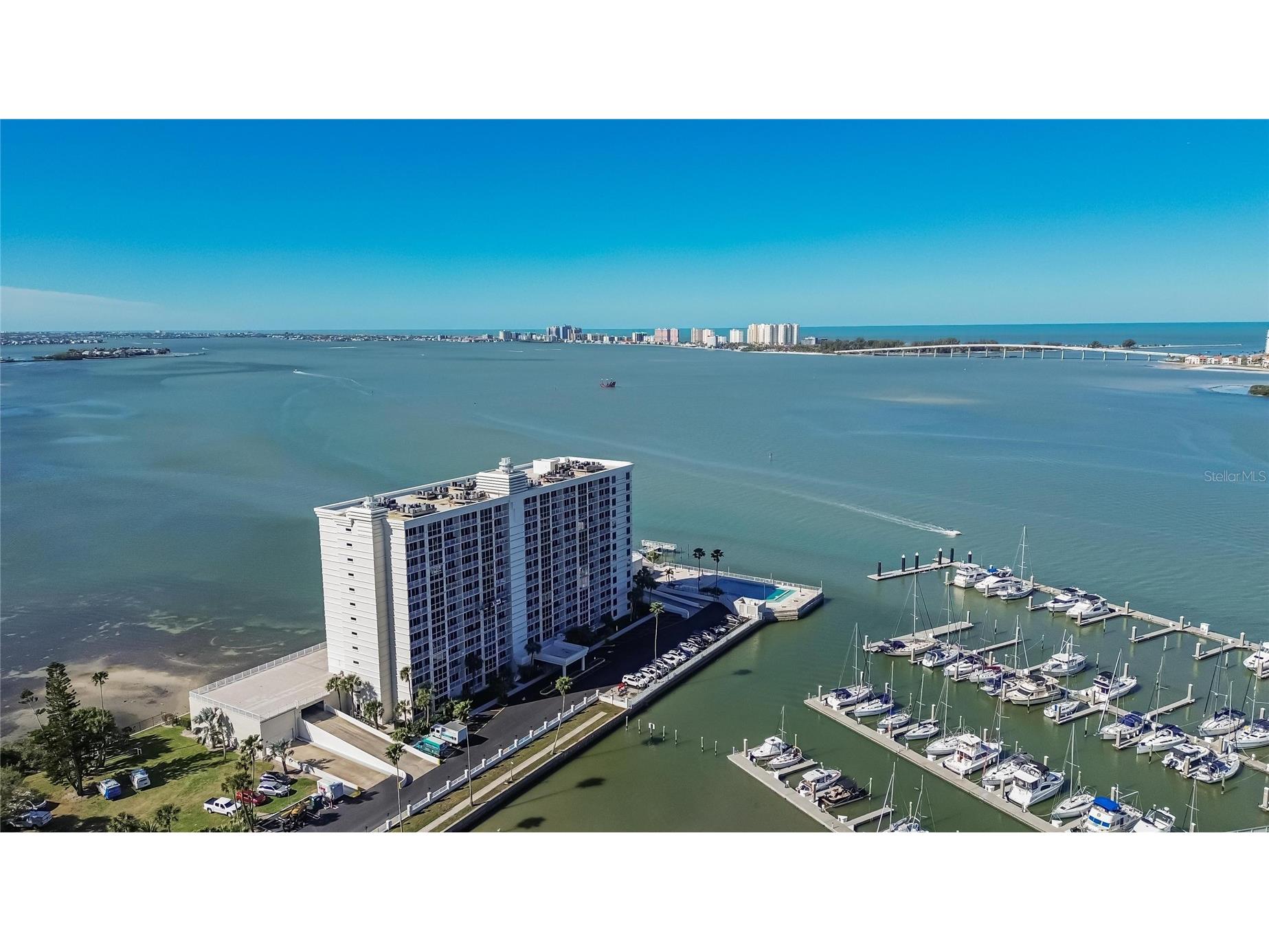 100 Pierce Street #703 Clearwater FL 33756 TB8484494 image58