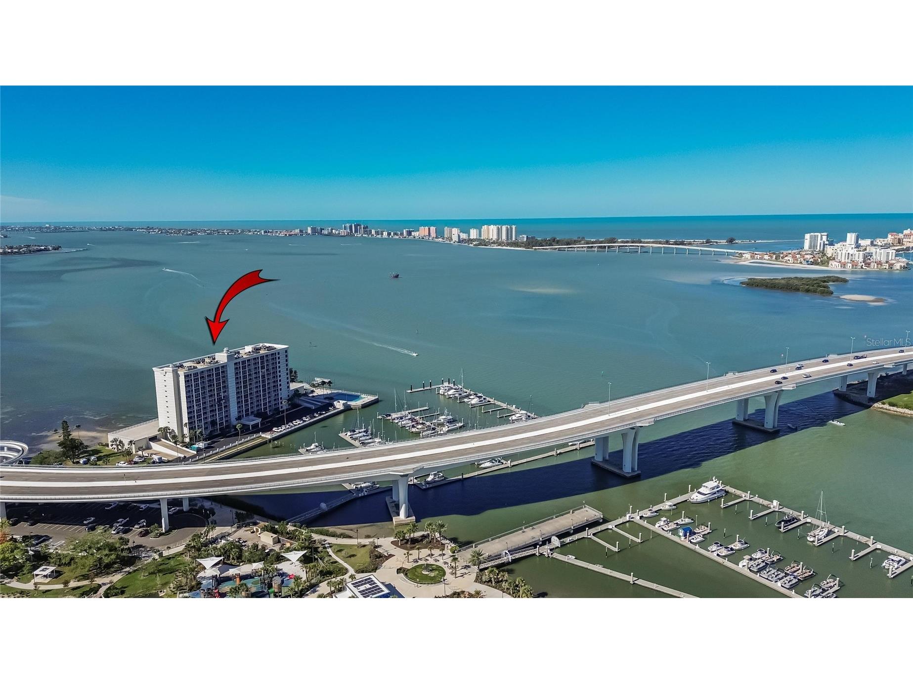 100 Pierce Street #703 Clearwater FL 33756 TB8484494 image61