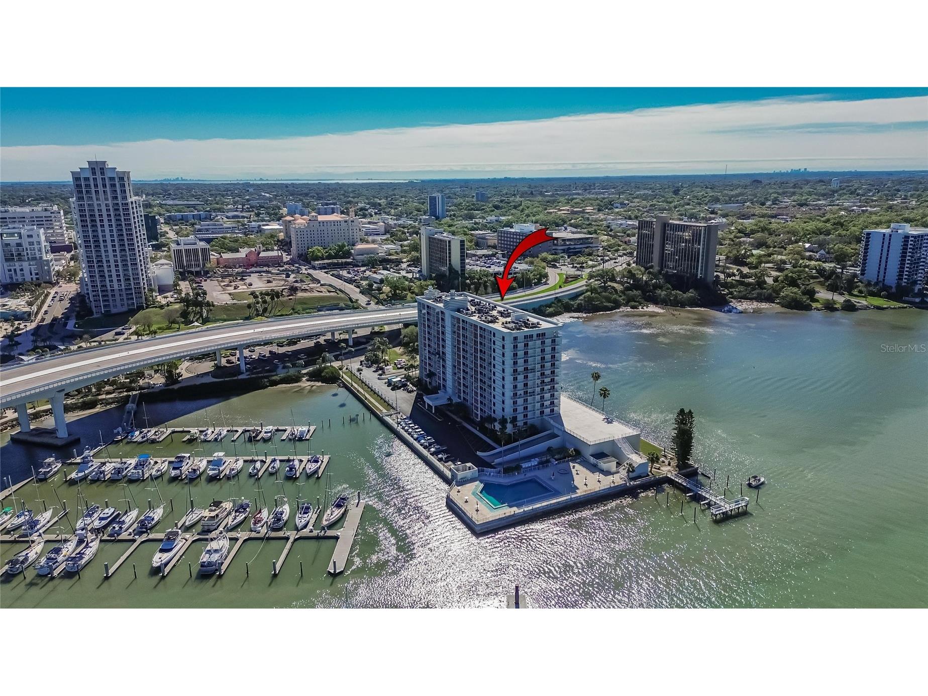 100 Pierce Street #703 Clearwater FL 33756 TB8484494 image63