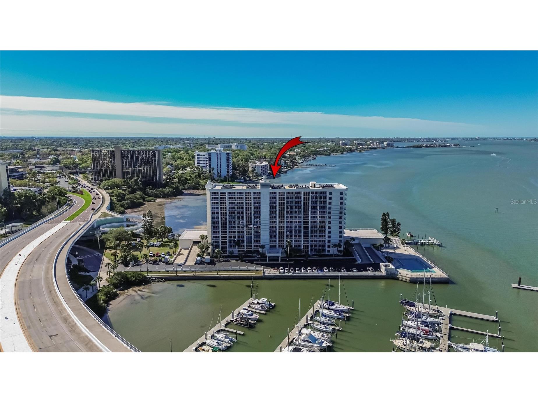 100 Pierce Street #703 Clearwater FL 33756 TB8484494 image64