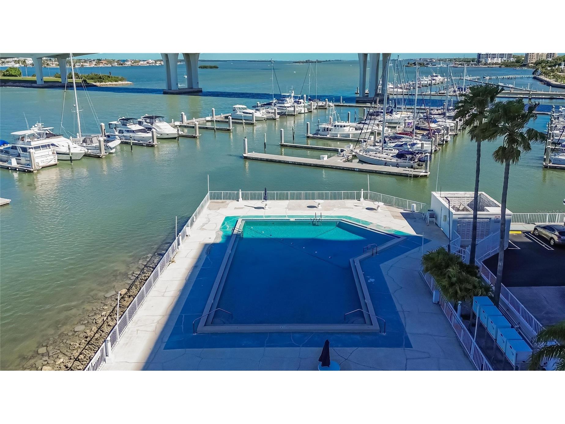 100 Pierce Street #703 Clearwater FL 33756 TB8484494 image66
