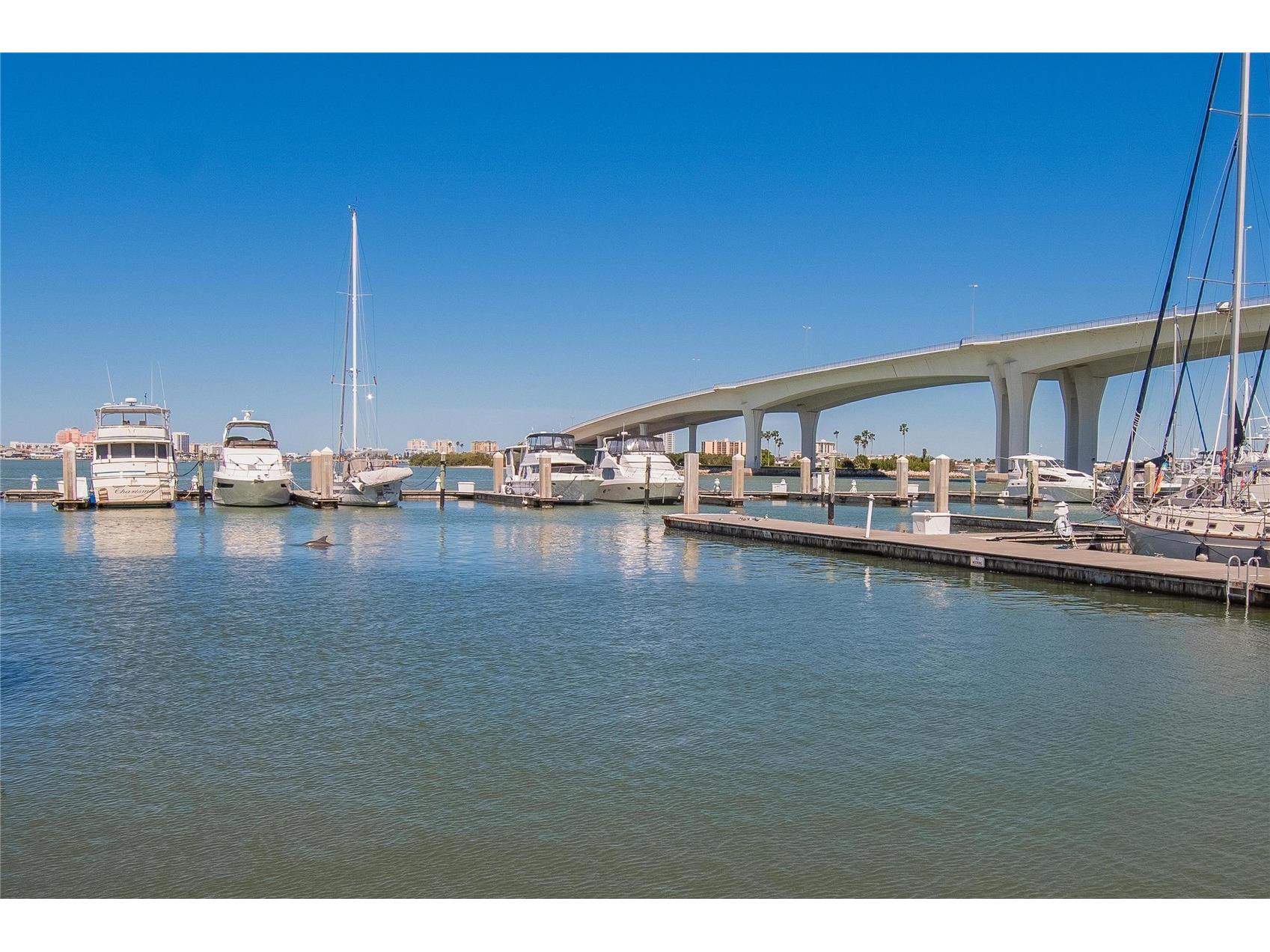 100 Pierce Street #703 Clearwater FL 33756 TB8484494 image67