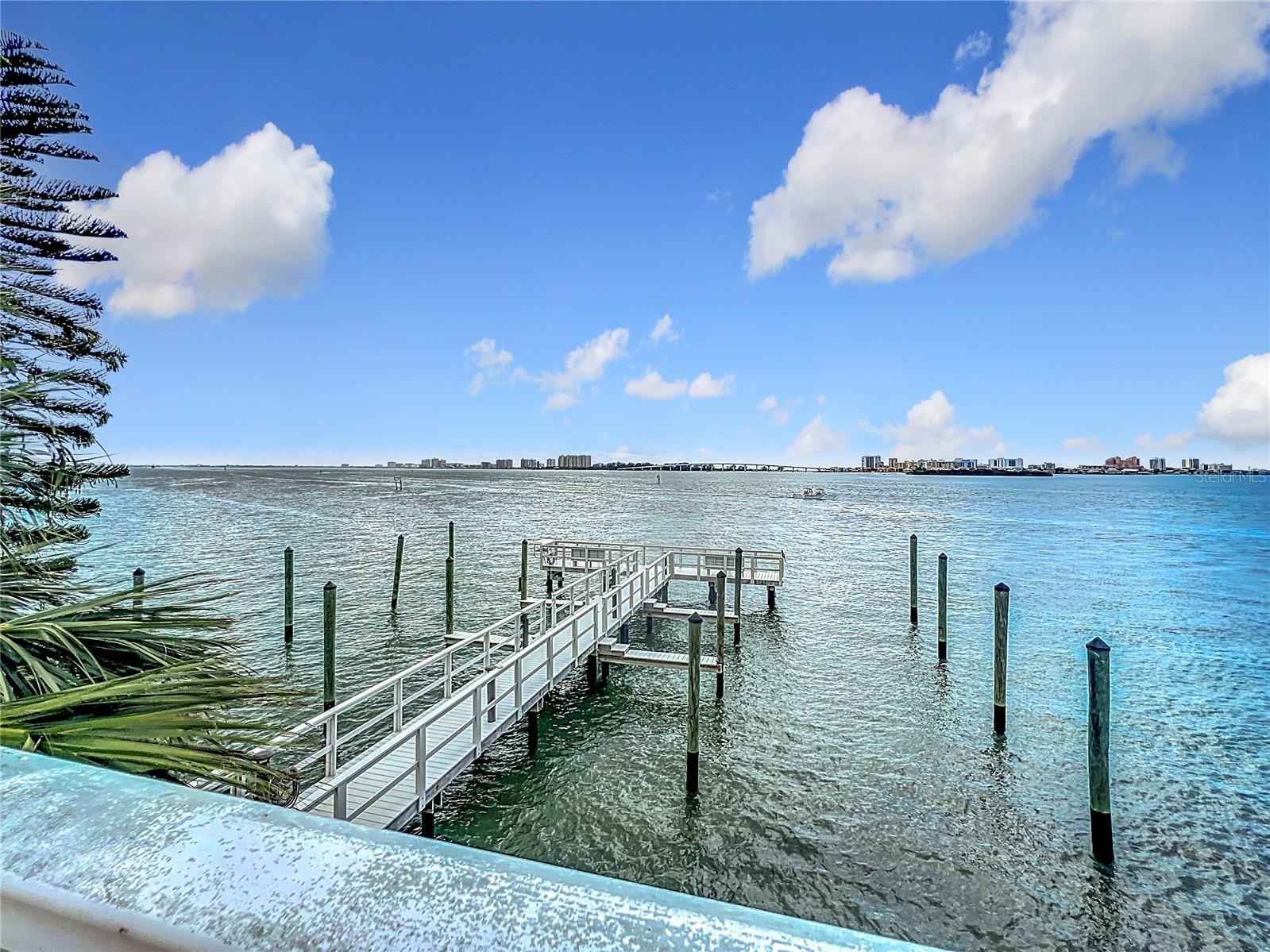 100 Pierce Street #910 Clearwater FL 33756 TB8472144 image29