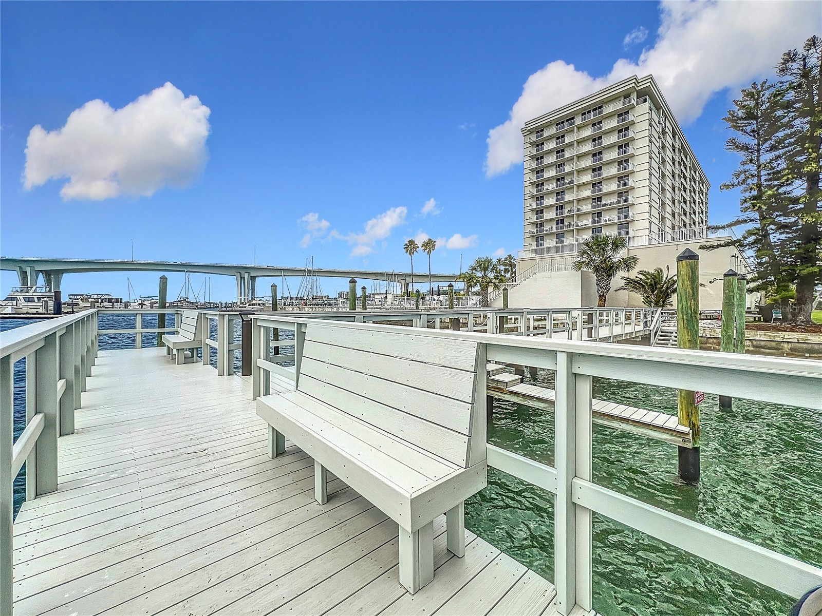 100 Pierce Street #910 Clearwater FL 33756 TB8472144 image30