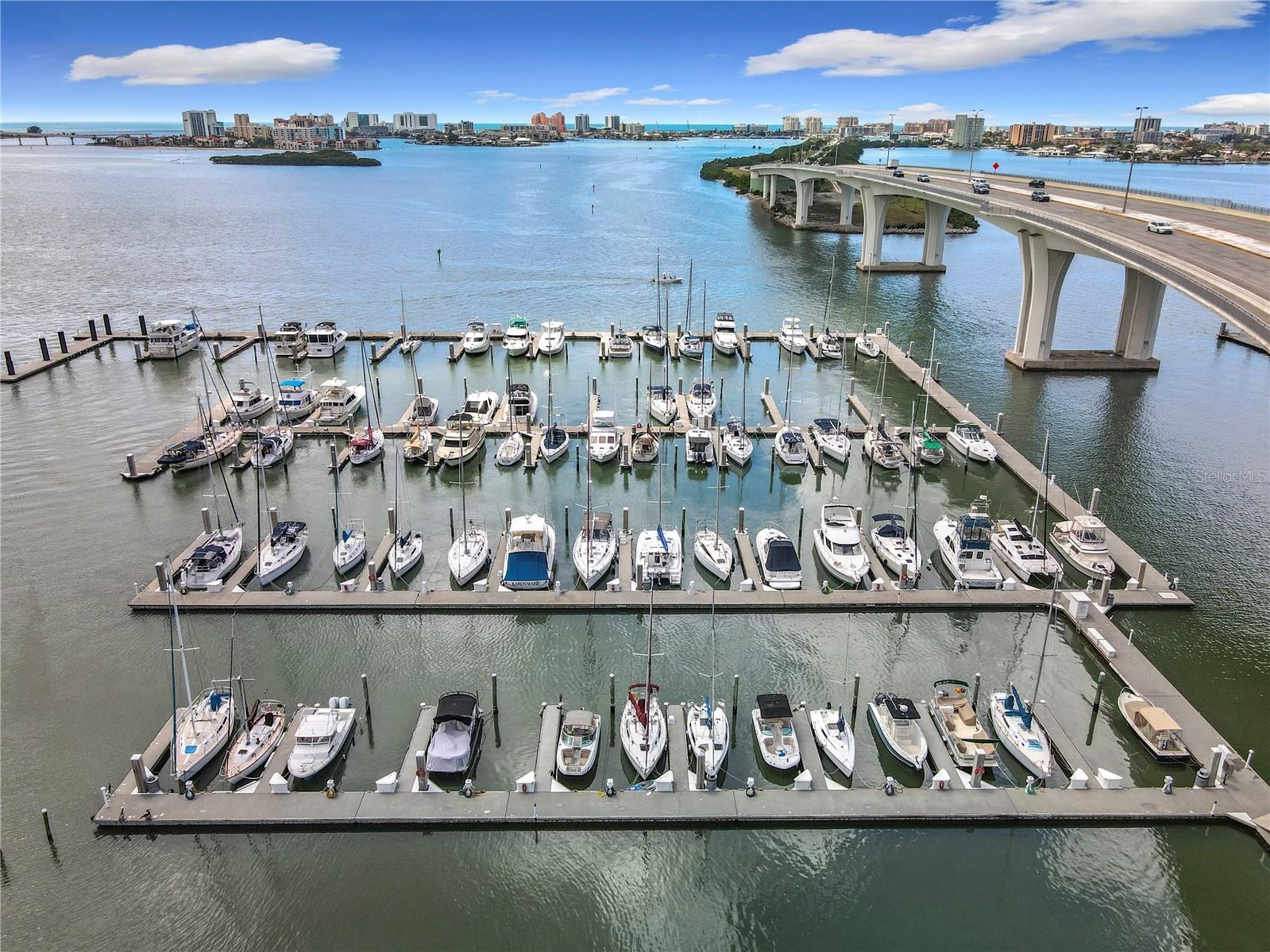 100 Pierce Street #910 Clearwater FL 33756 TB8472144 image31