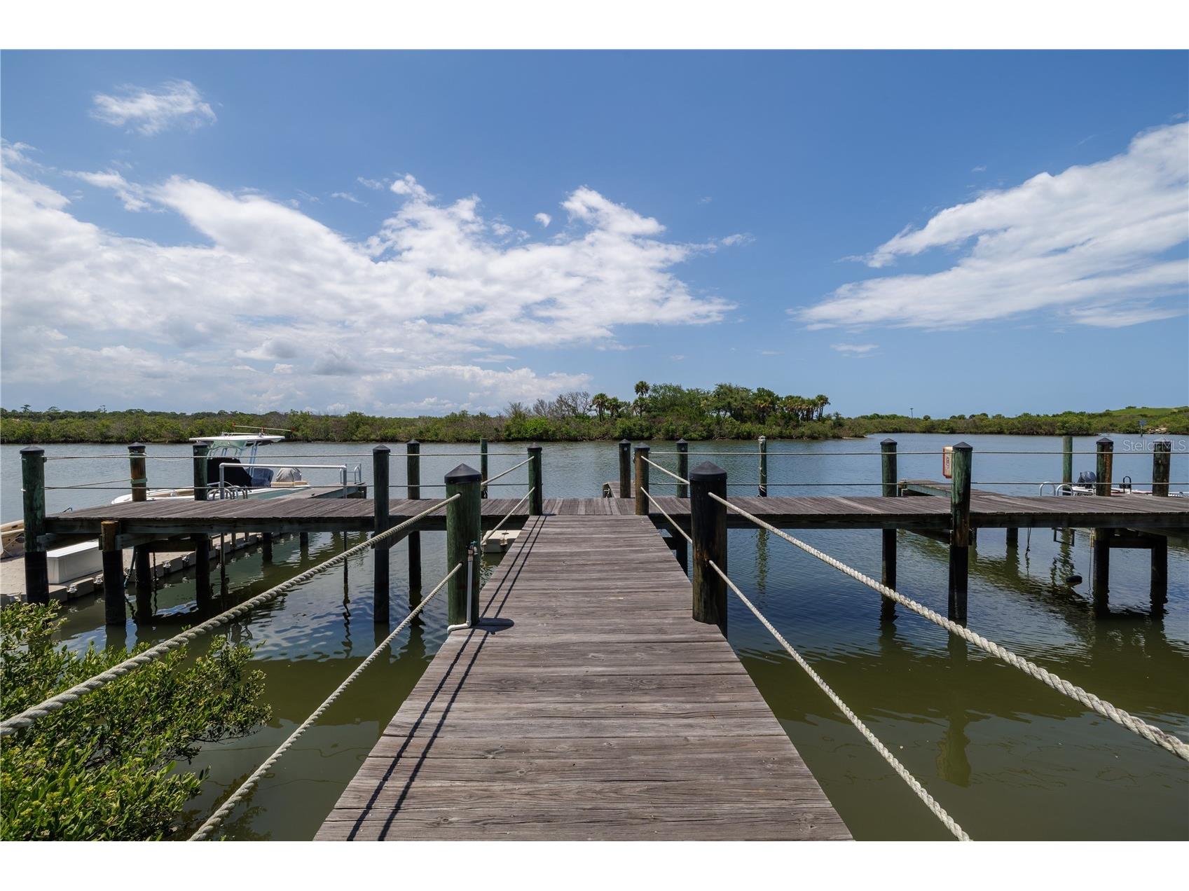 100 Poinciana Cove Court #100 New Smyrna Beach FL 32169 O6416012 image31