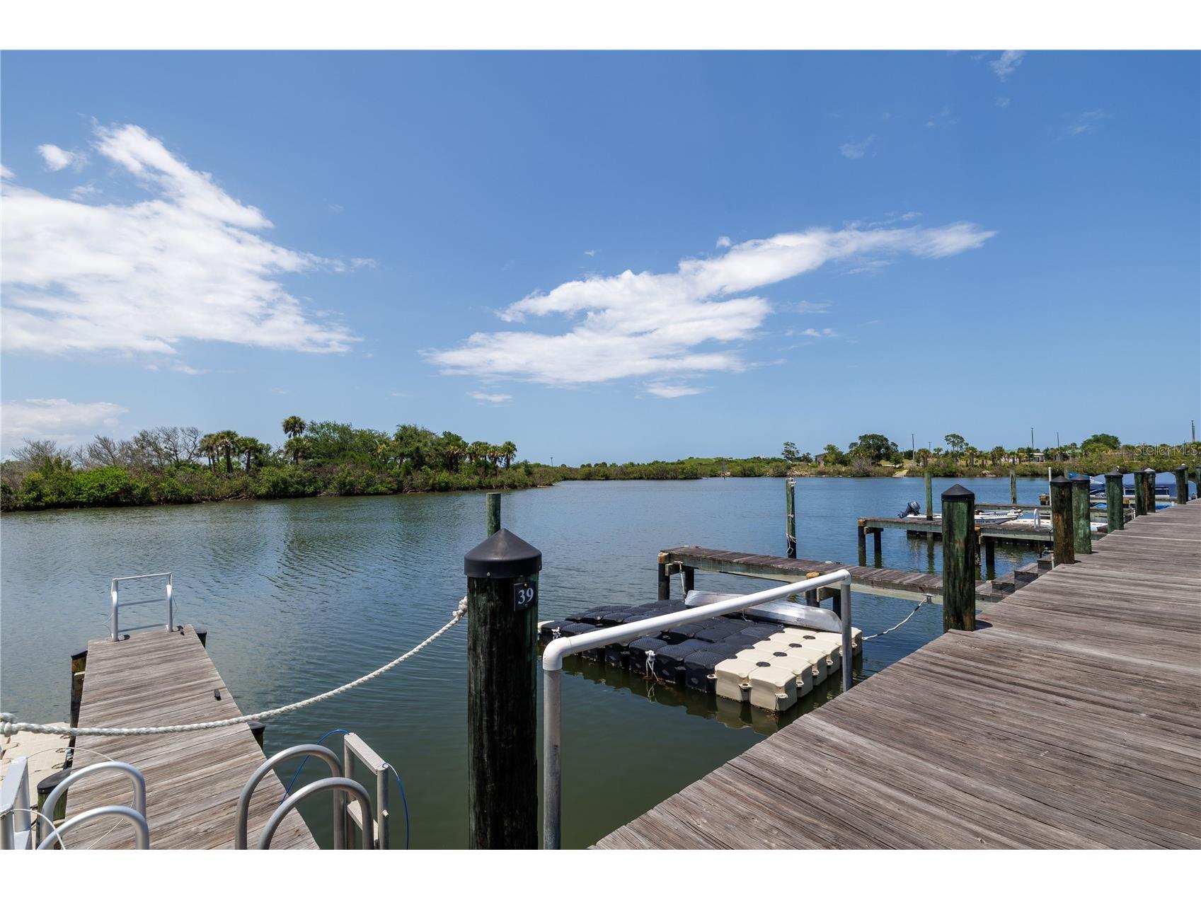 100 Poinciana Cove Court #100 New Smyrna Beach FL 32169 O6416012 image32